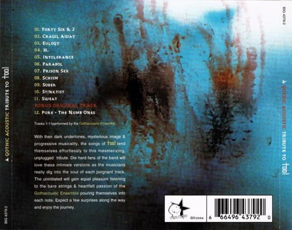 A Gothic Acoustic Tribute To Tool (CD) - Image 2