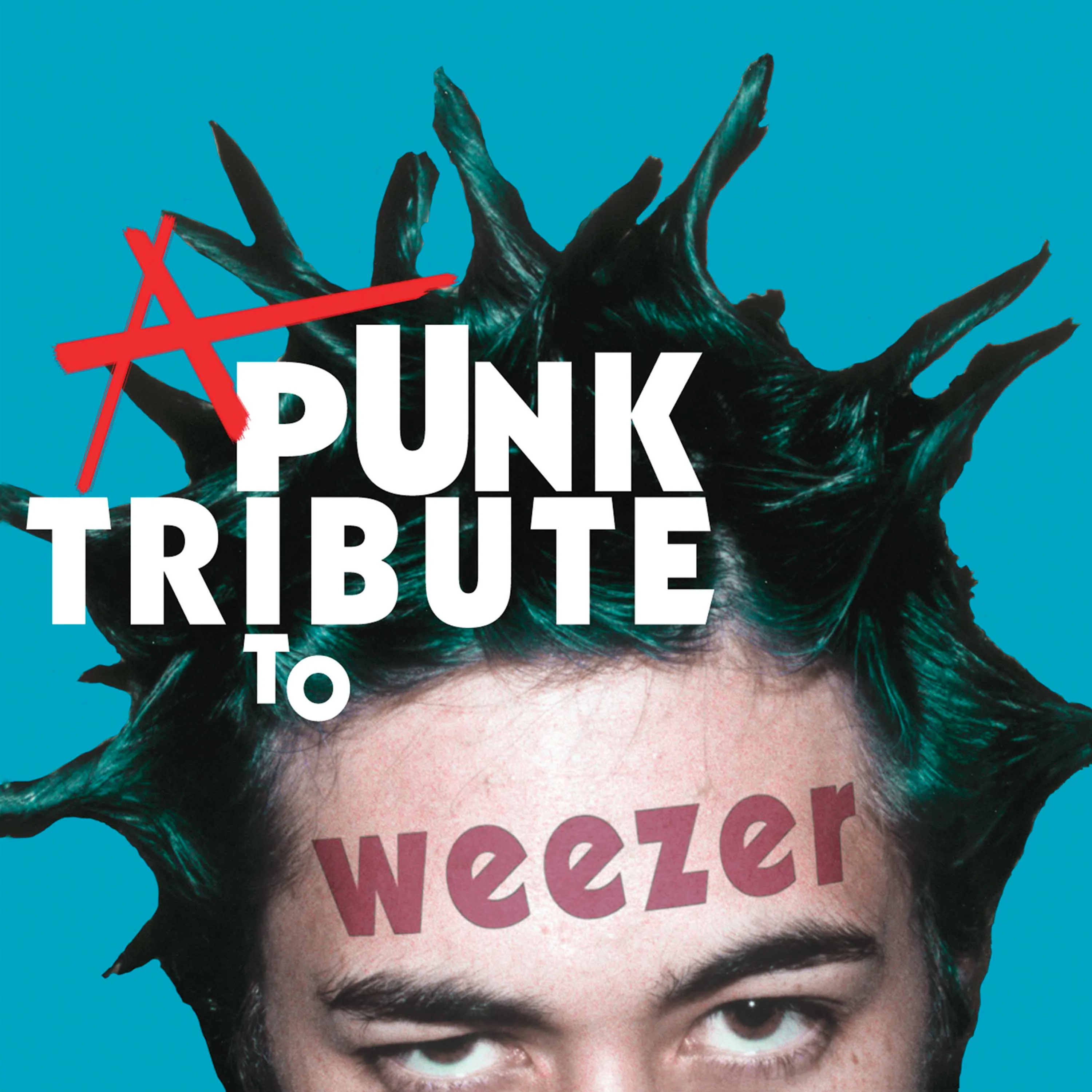 A Punk Tribute to Weezer (Blue Vinyl) - Image 3