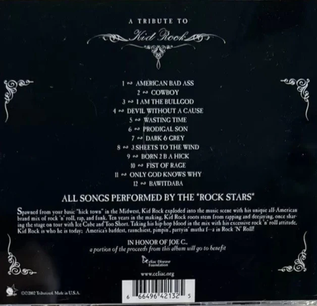 A Tribute To Kid Rock (CD) - Image 2