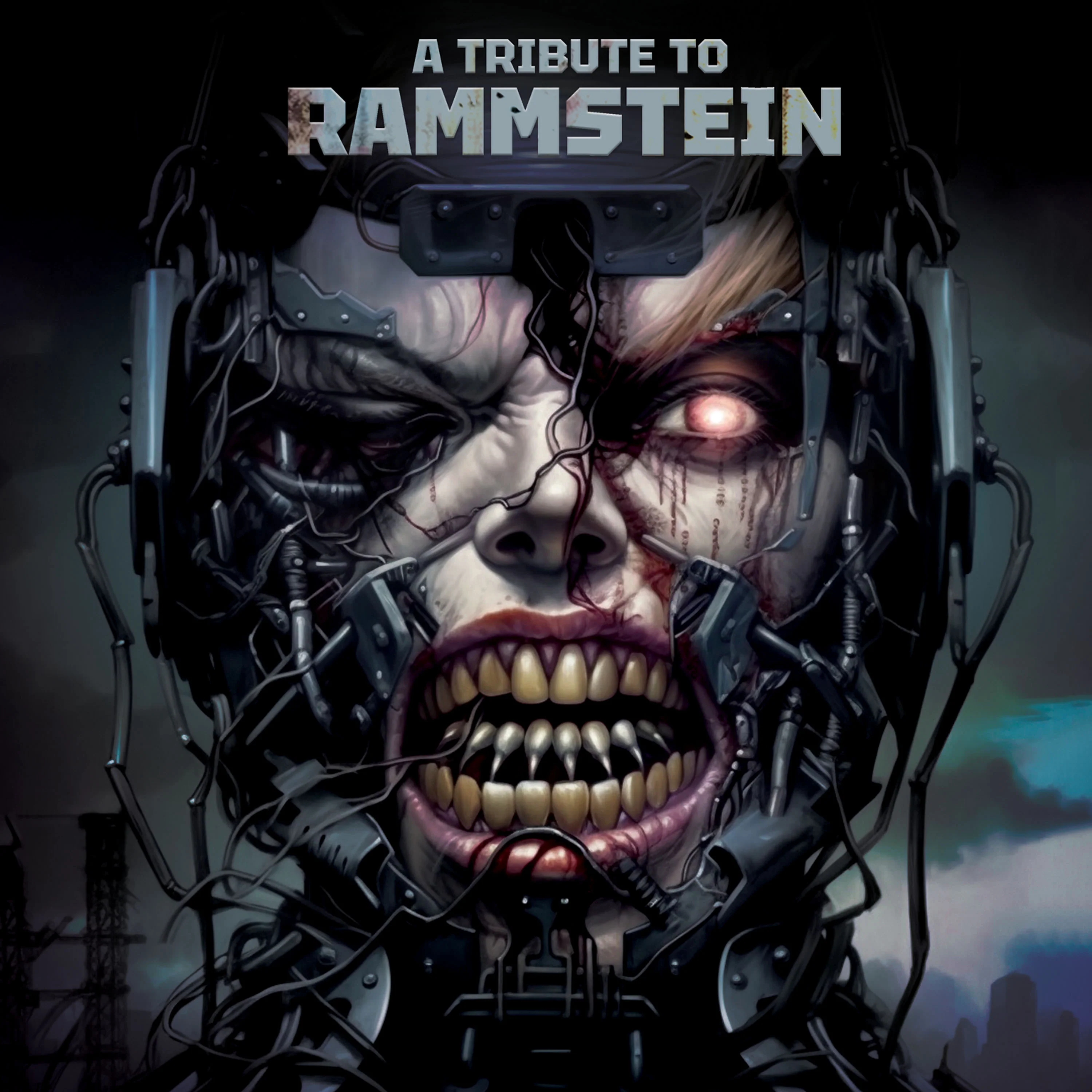 A Tribute To Rammstein (Red Vinyl) - Image 3