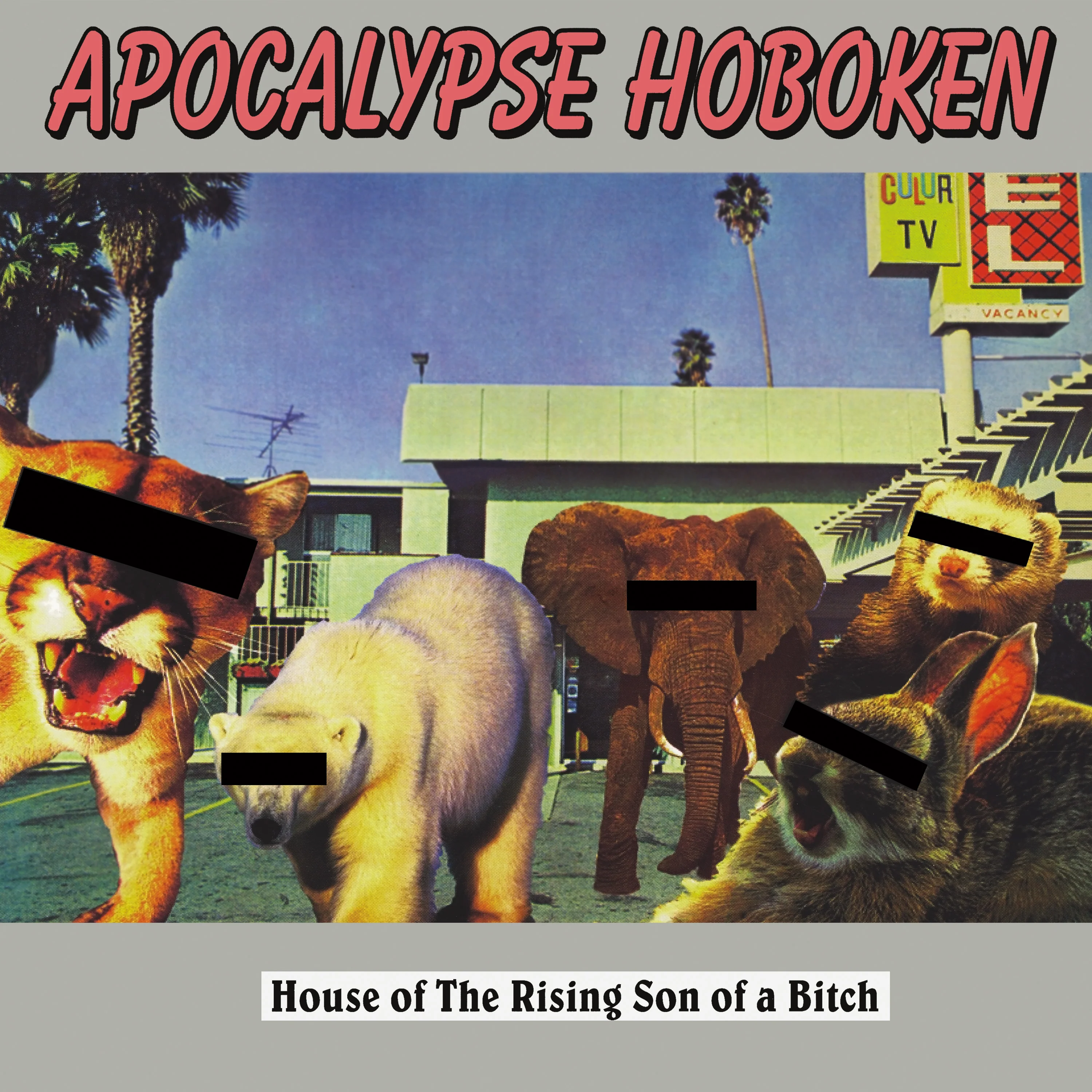 Apocalypse Hoboken - House of The Rising Son of a Bitch (Red Vinyl) - Image 3