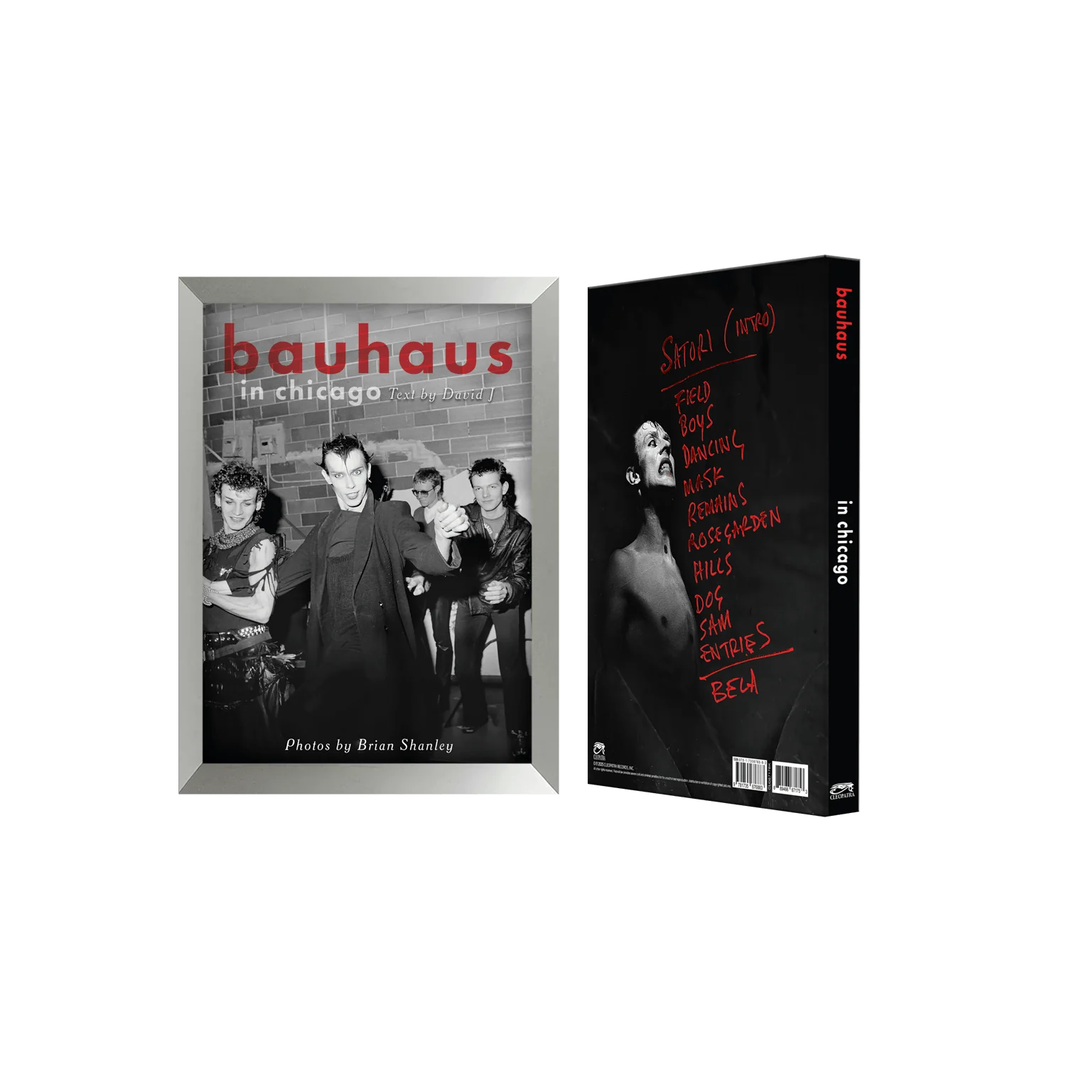 Bauhaus In Chicago (David J / Brian Shanley - Hardcover Book - Signed by David J) - Image 3
