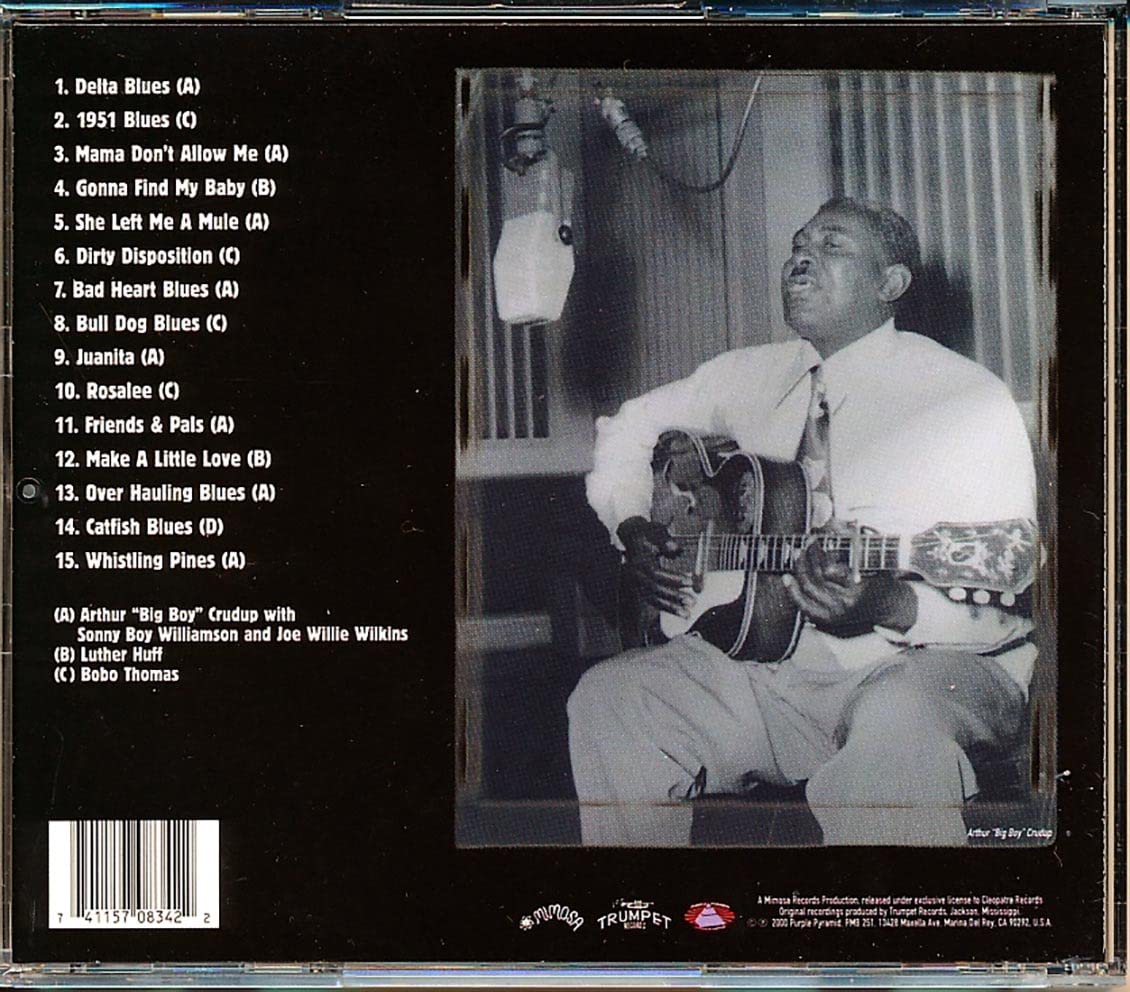 Big Joe Williams - Big Joe Williams & Friends (CD) - Image 2