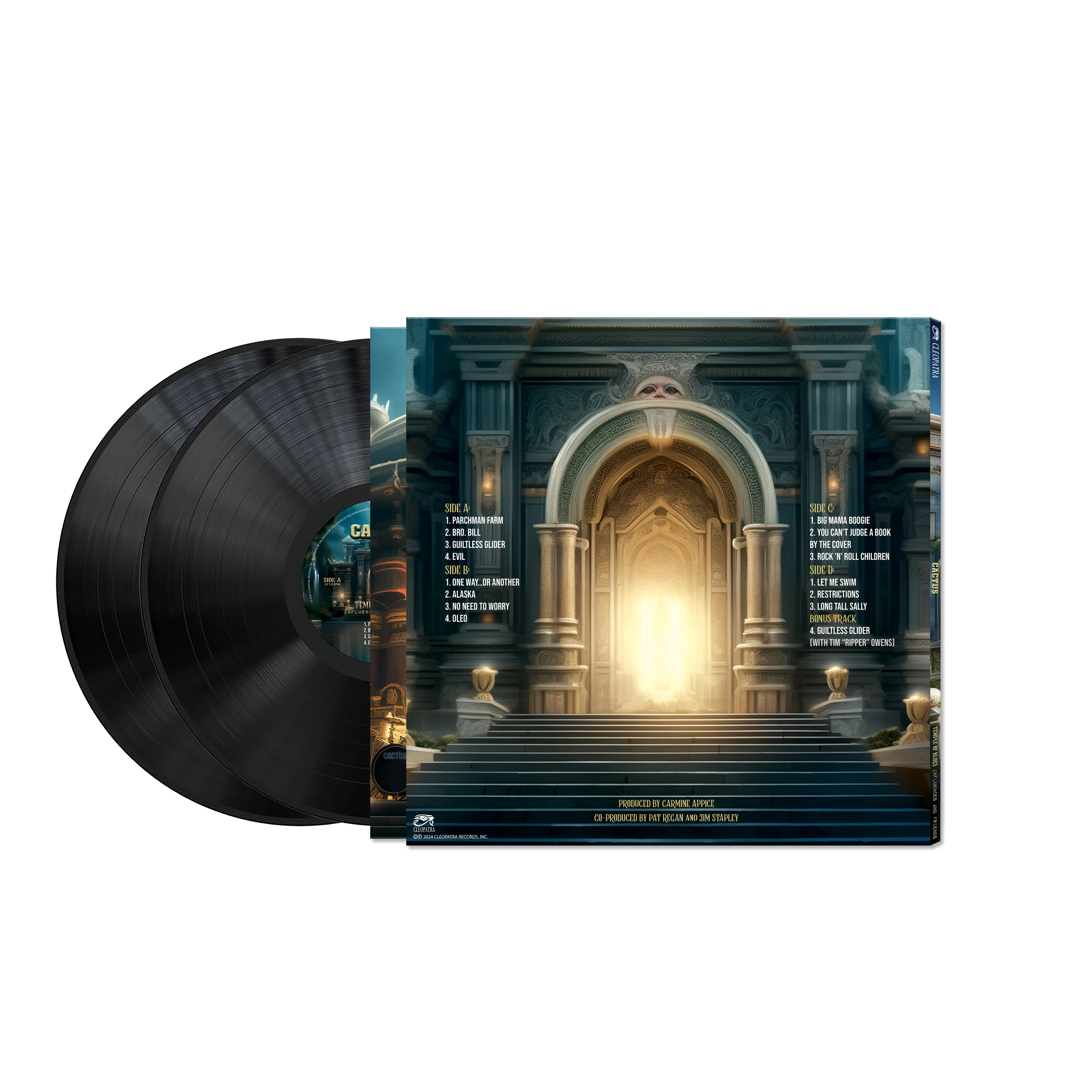 Cactus - Temple Of Blues (Black 180 Gram Double Vinyl) - Image 10