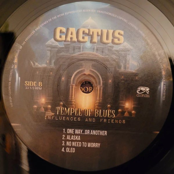 Cactus - Temple Of Blues (Black 180 Gram Double Vinyl) - Image 8