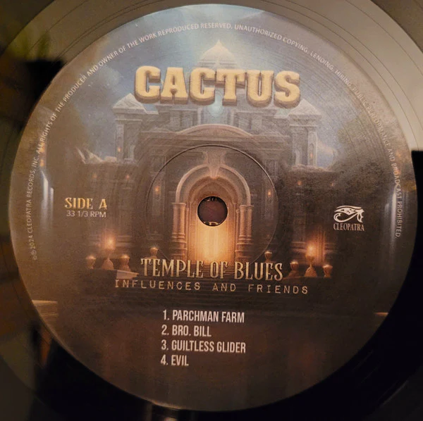 Cactus - Temple Of Blues (Black 180 Gram Double Vinyl) - Image 9