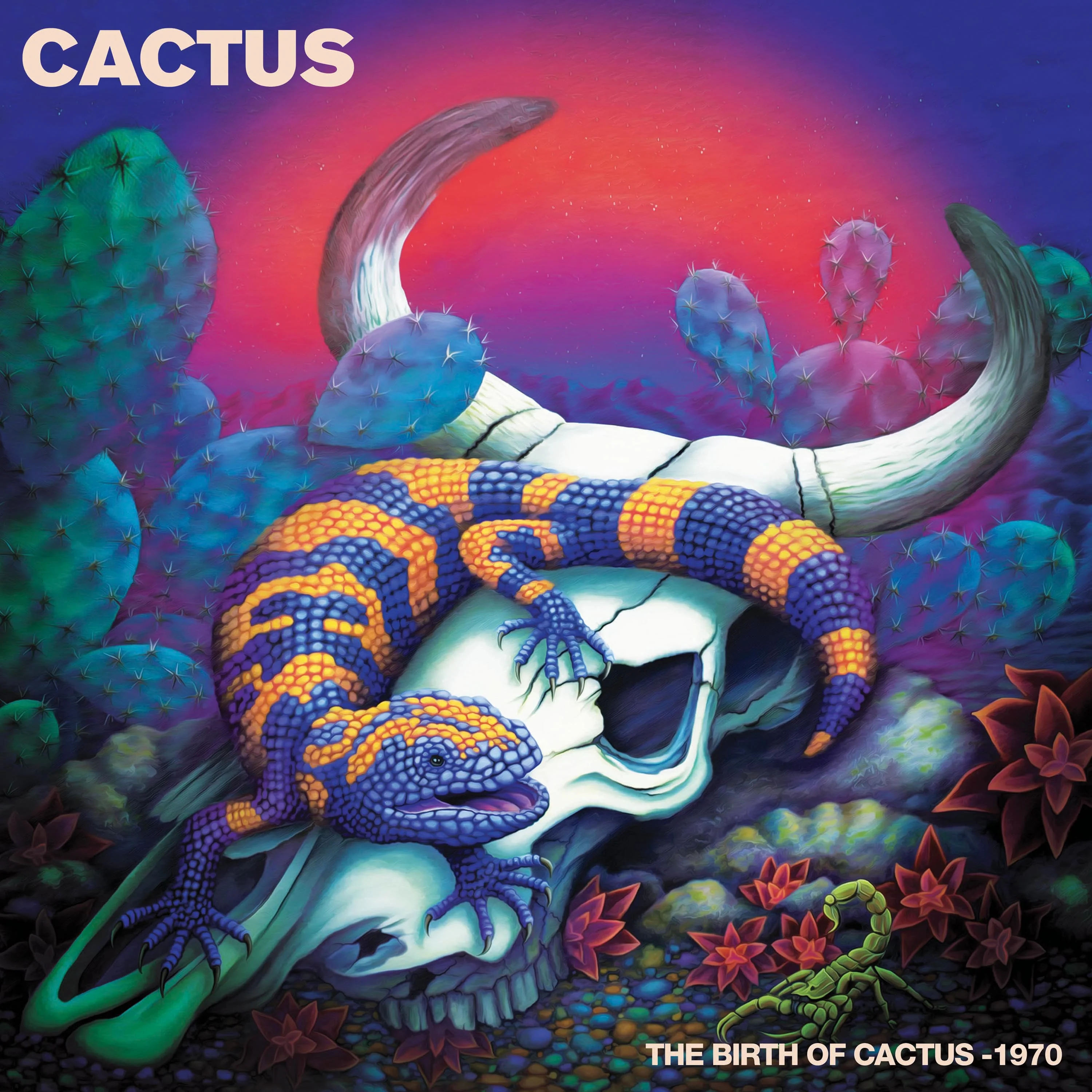Cactus - The Birth of Cactus - 1970 (Limited Edition Purple Vinyl) - Image 4