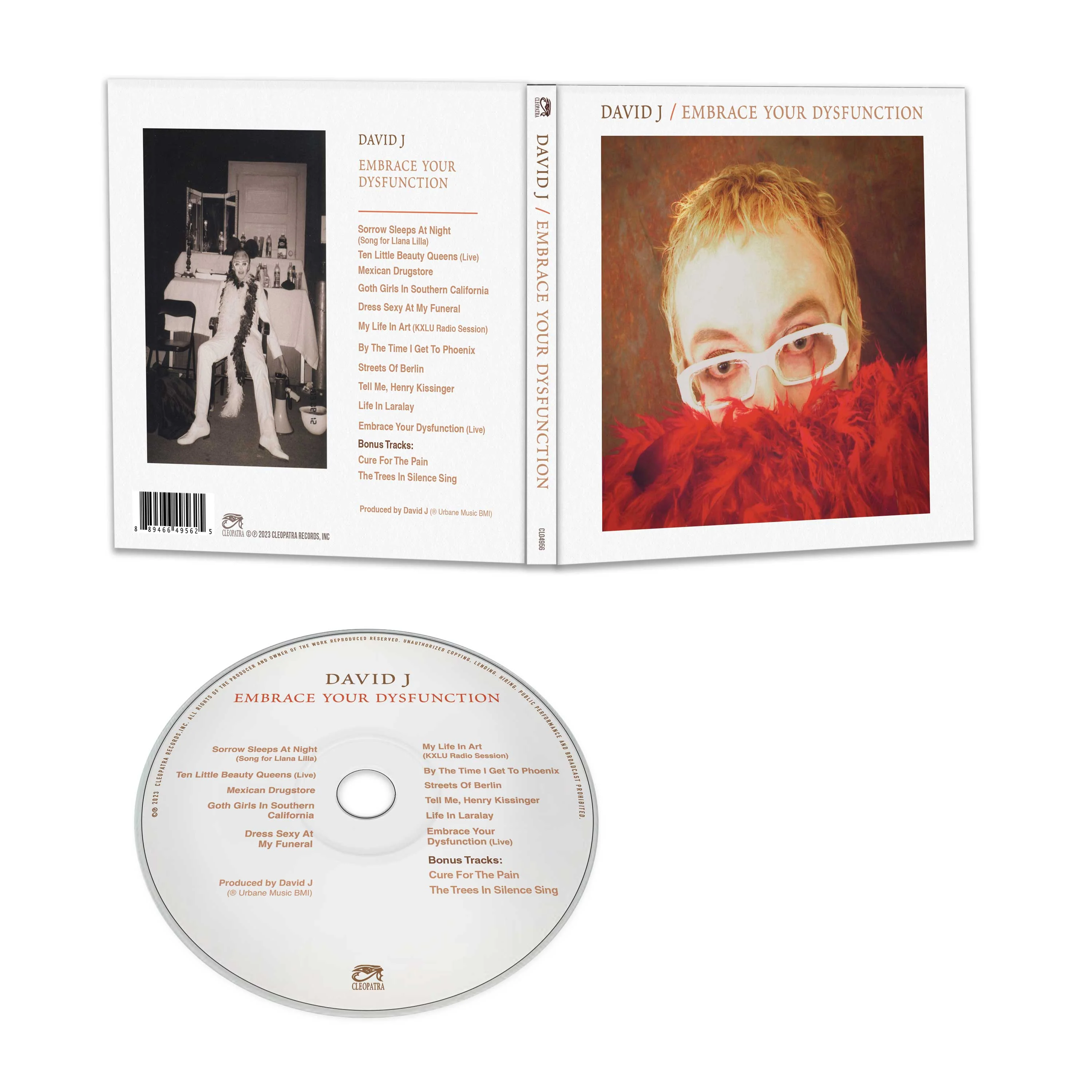 David J - Embrace Your Dysfunction (CD) - Image 2
