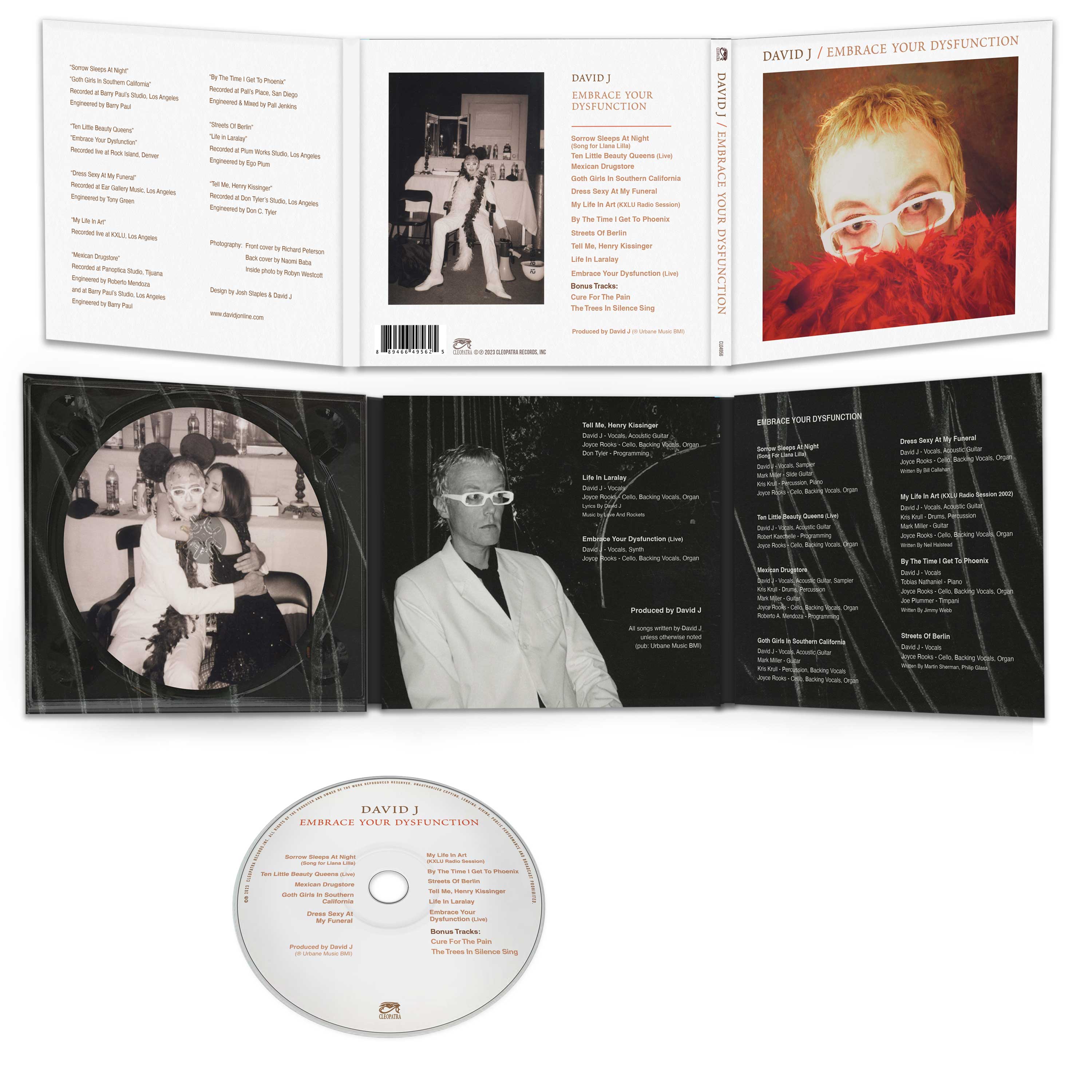 David J - Embrace Your Dysfunction (CD) - Image 3
