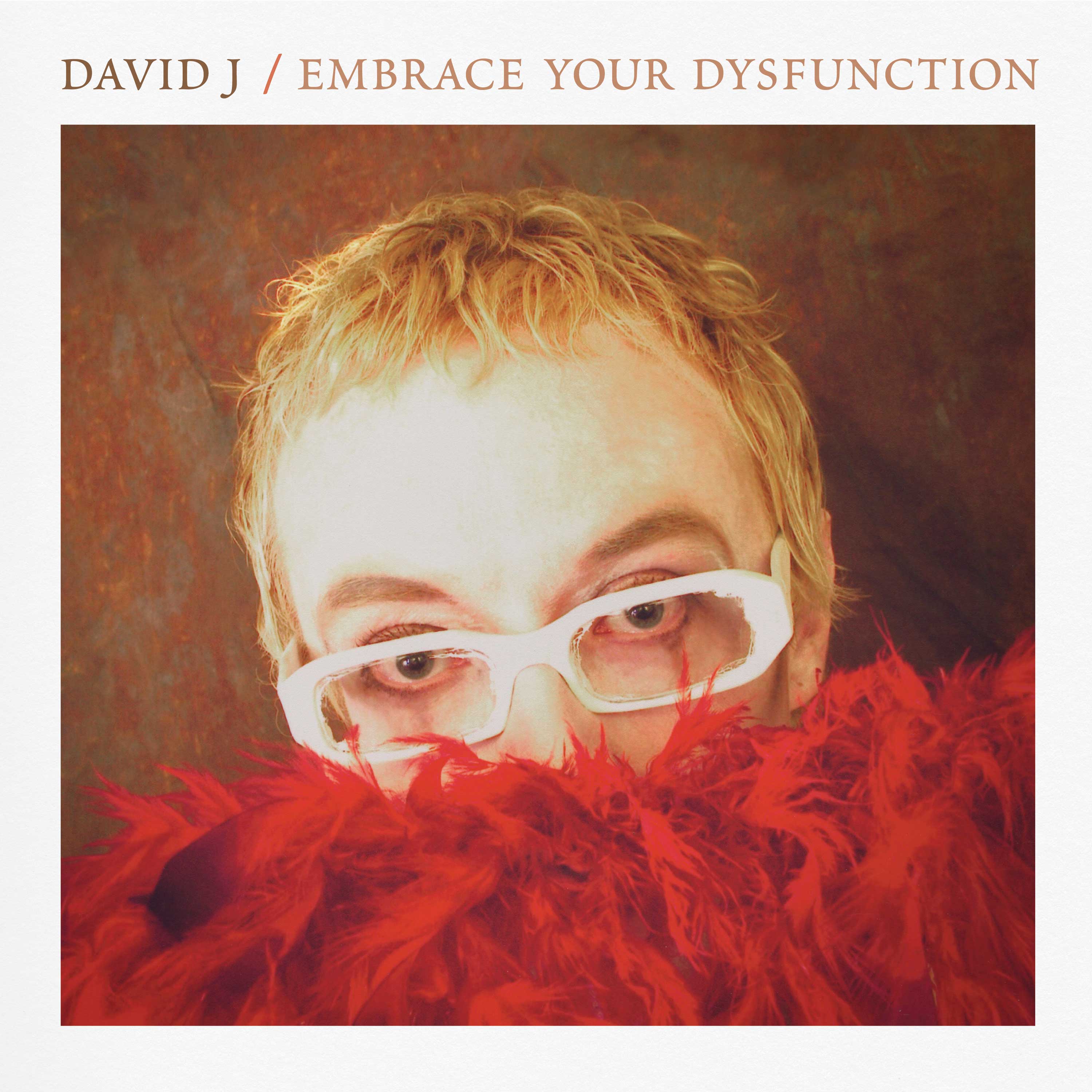 David J - Embrace Your Dysfunction (CD) - Image 4