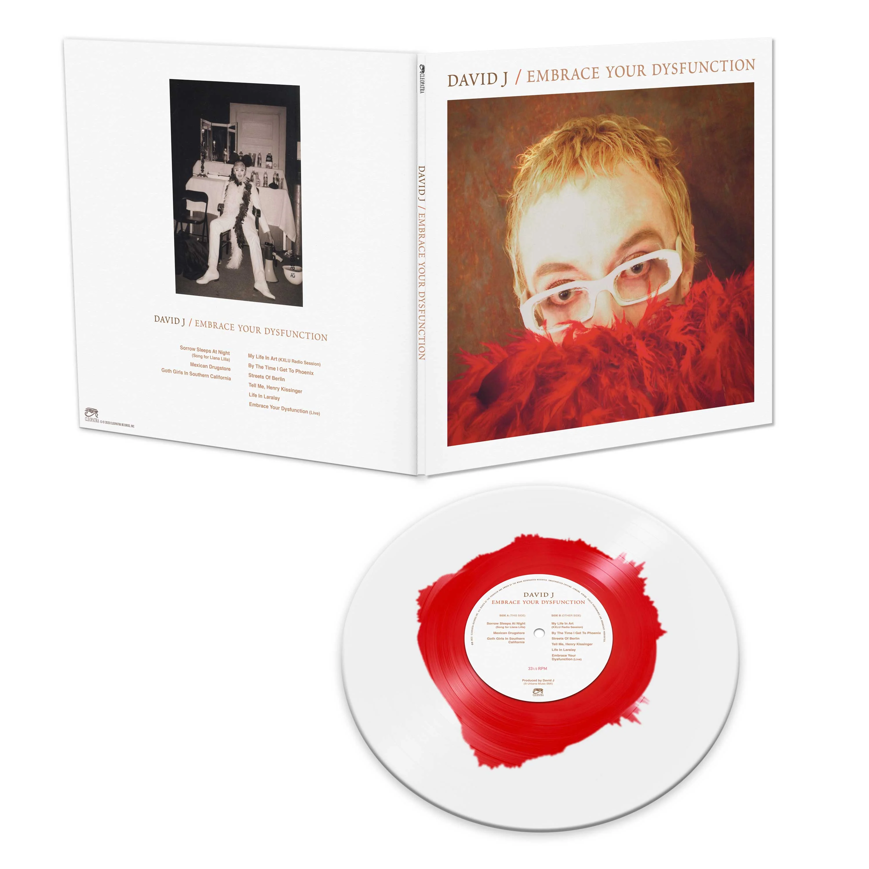 David J - Embrace Your Dysfunction (Red-White Haze Vinyl) - Image 2