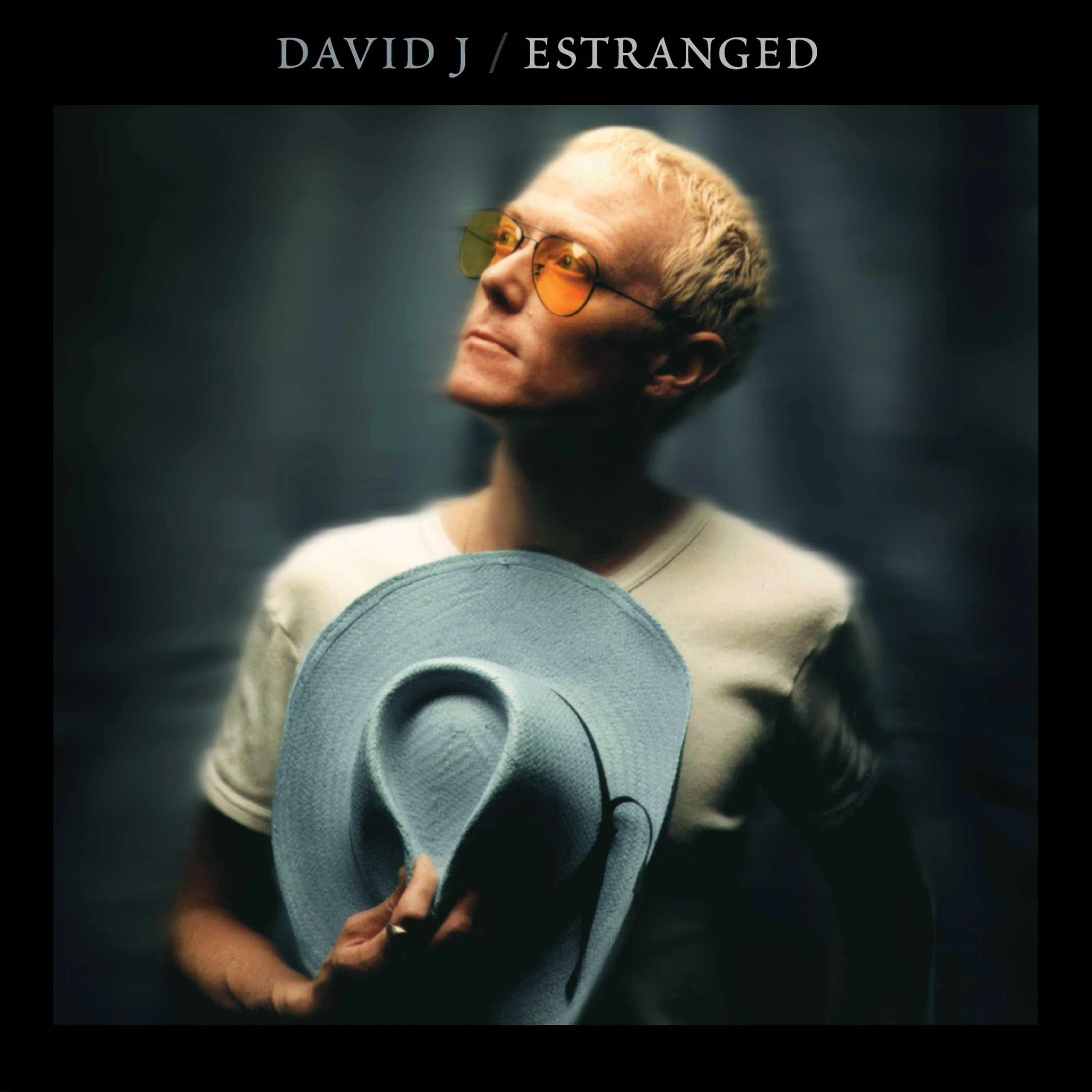 David J - Estranged (Double Blue Vinyl) - Image 3