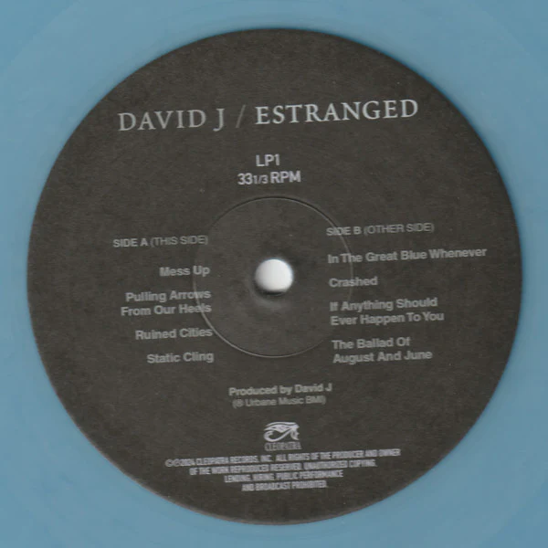 David J - Estranged (Double Blue Vinyl) - Image 4