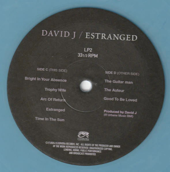 David J - Estranged (Double Blue Vinyl) - Image 6