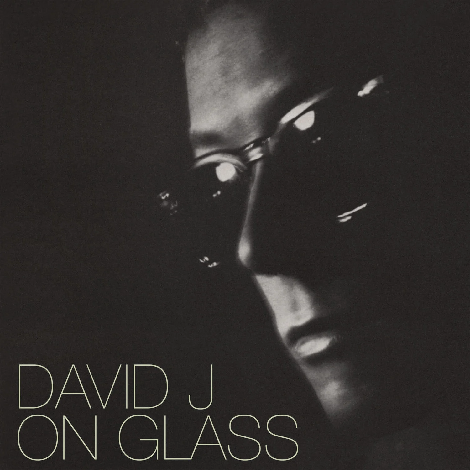 David J - On Glass (Clear Double Vinyl LP) - Image 3