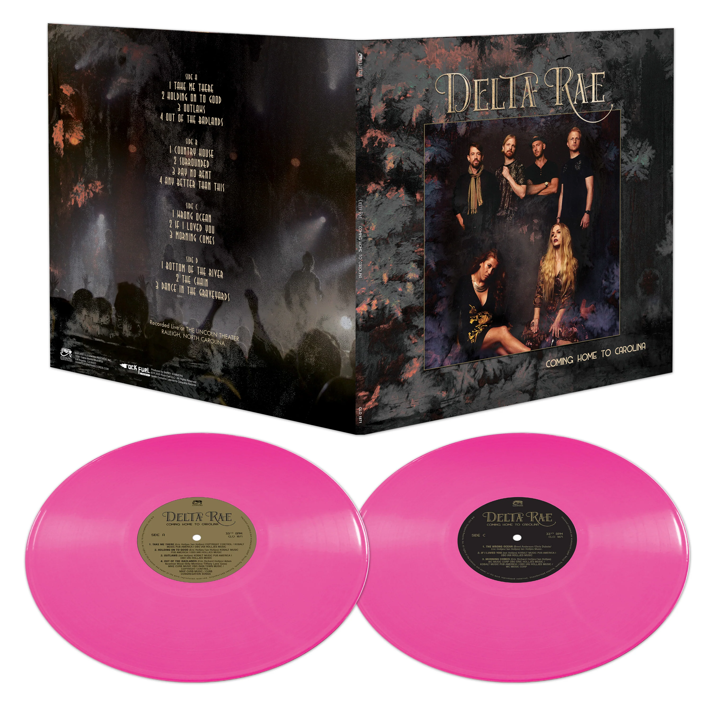 Delta Rae - Coming Home to Carolina (Limited Edition Pink Double Vinyl) - Image 2