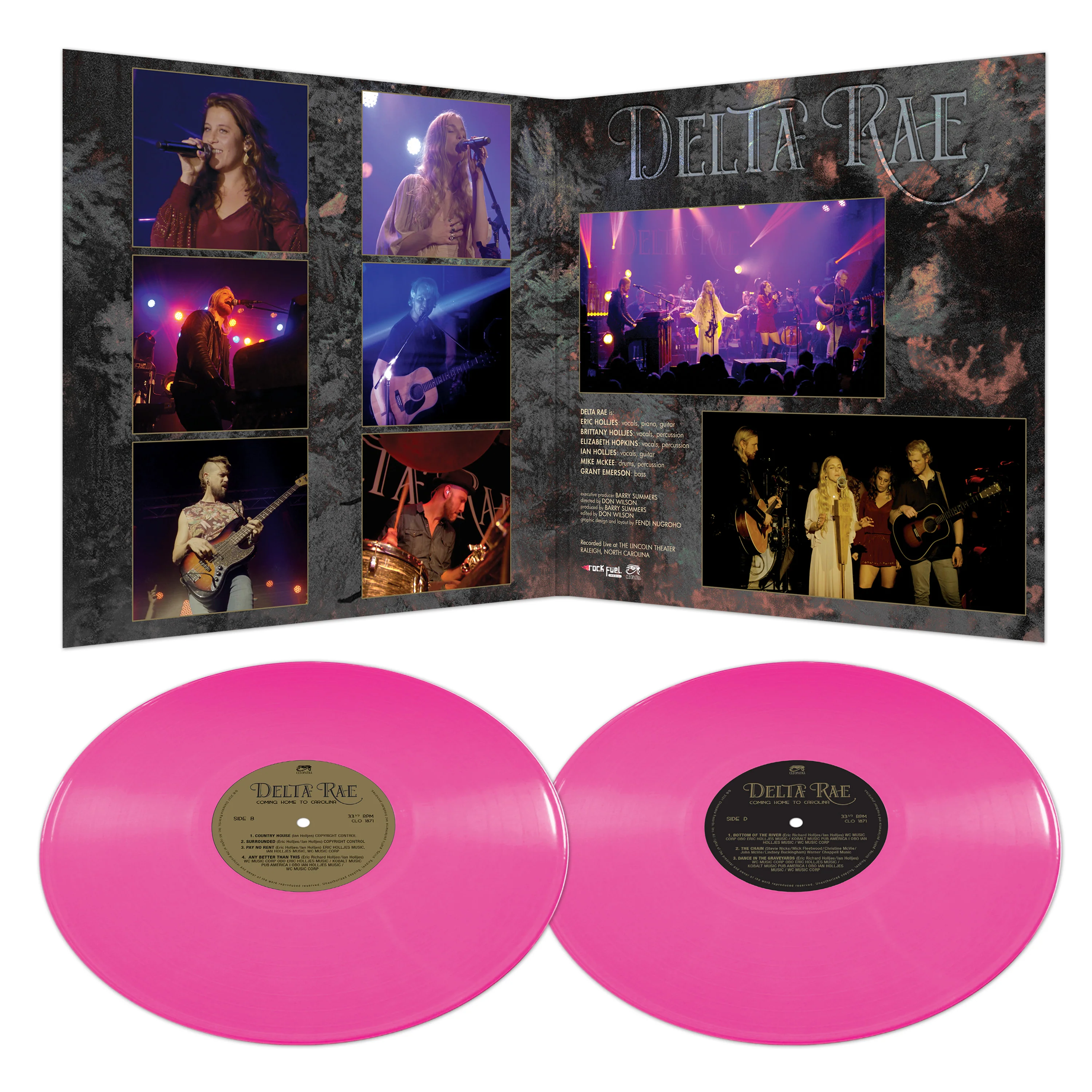 Delta Rae - Coming Home to Carolina (Limited Edition Pink Double Vinyl) - Image 3