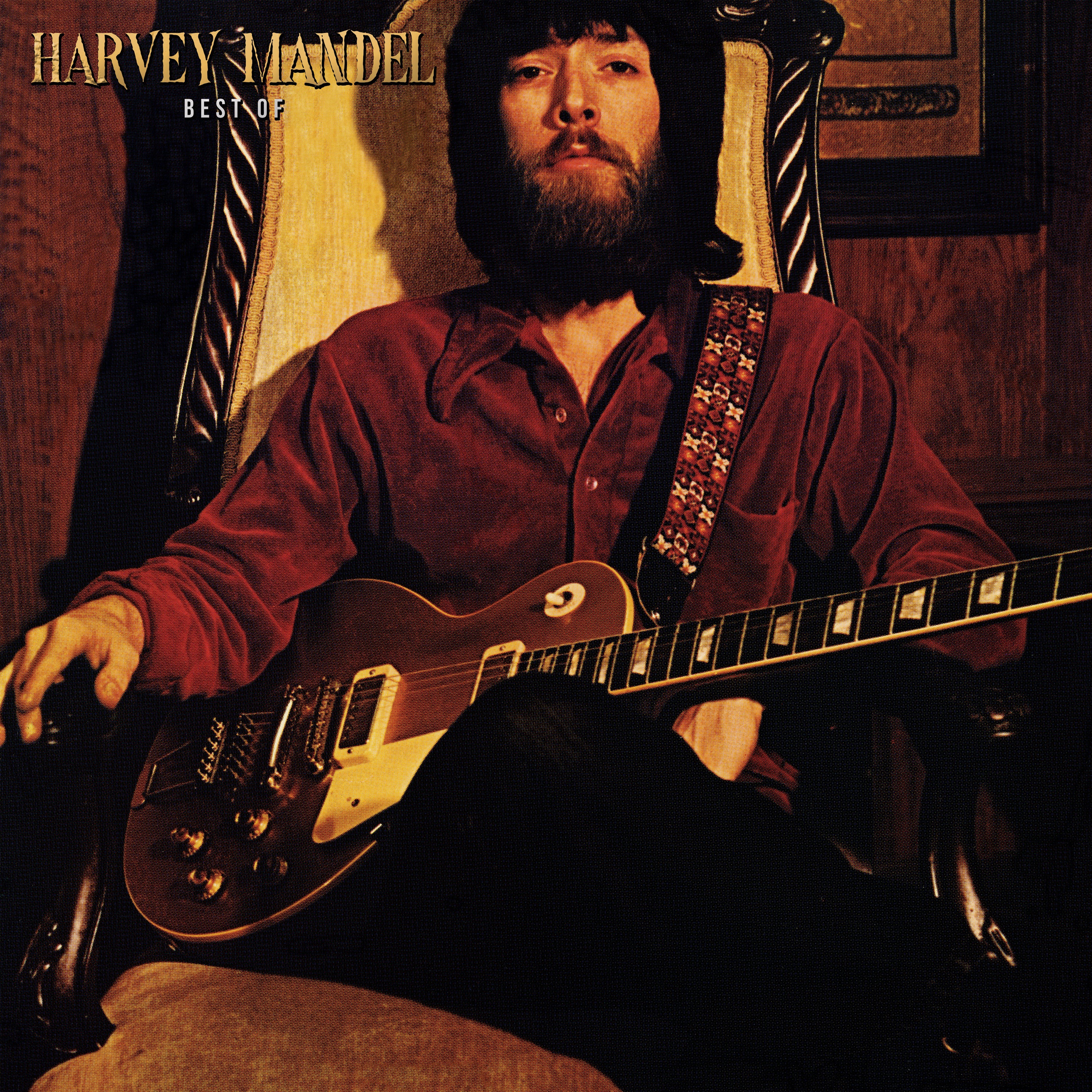 Harvey Mandel - Best Of (Gold Vinyl) - Image 3