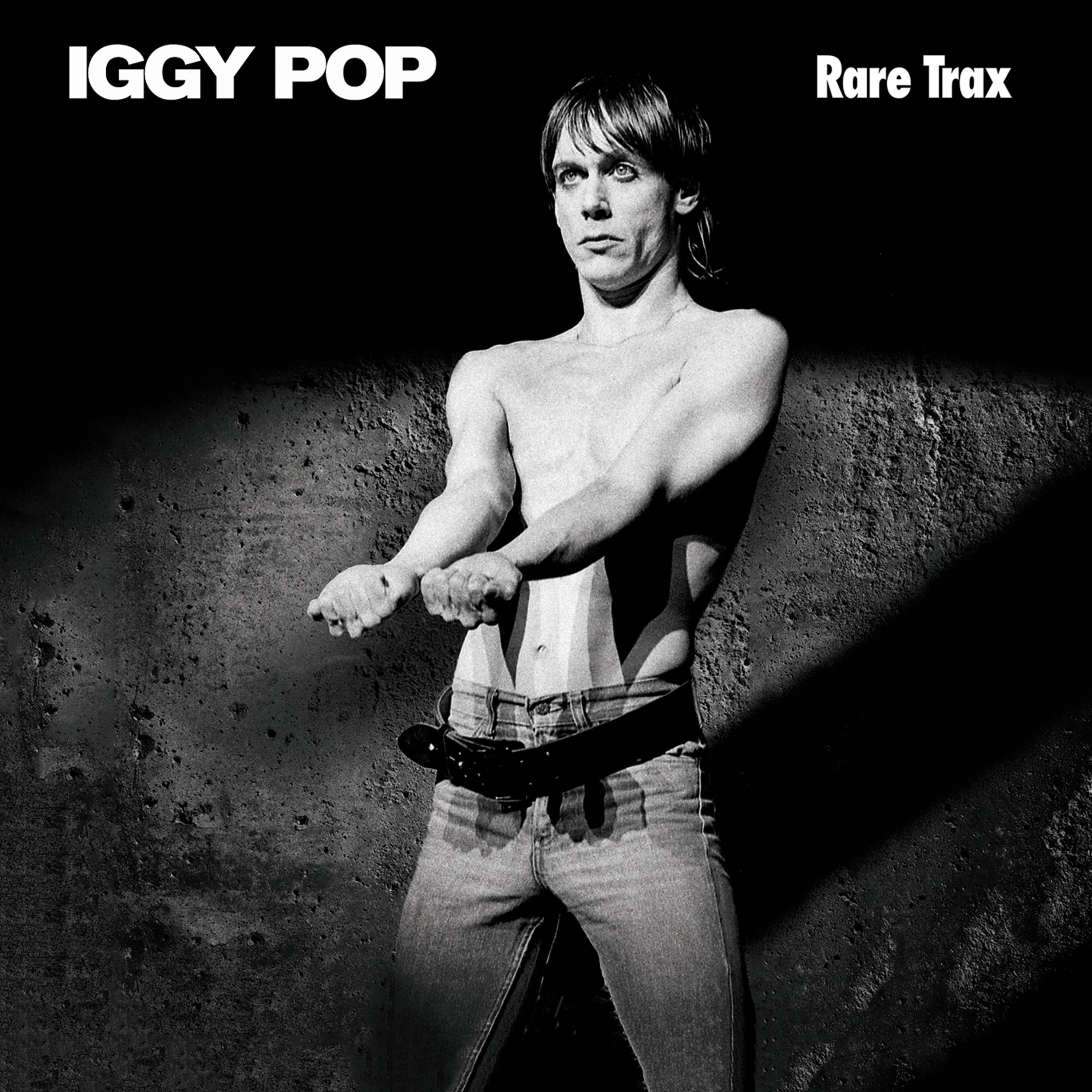 Iggy Pop - Rare Trax (Clear Double Vinyl) - Image 3