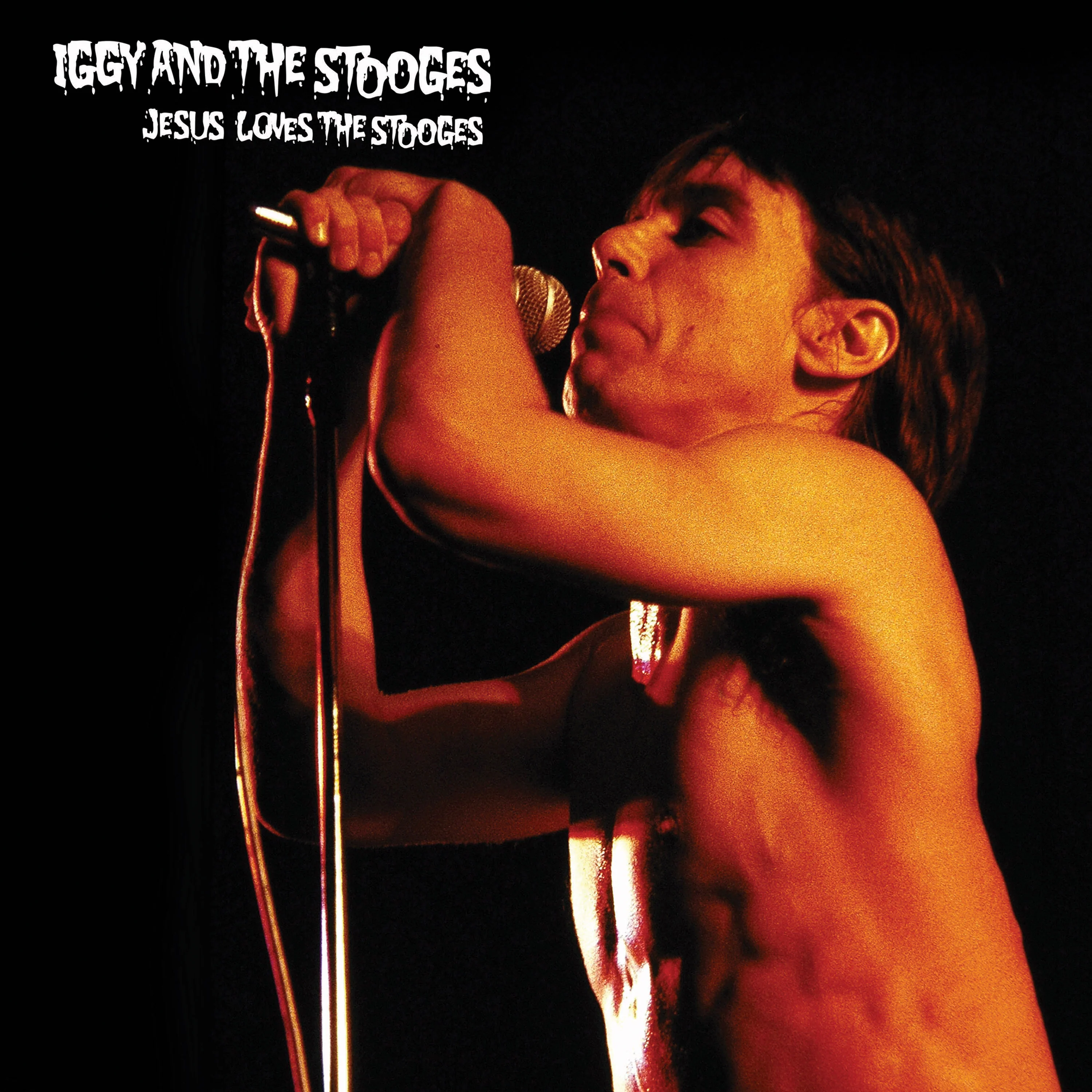 Iggy & The Stooges - Jesus Loves The Stooges (Limited Edition Splatter Vinyl) - Image 3