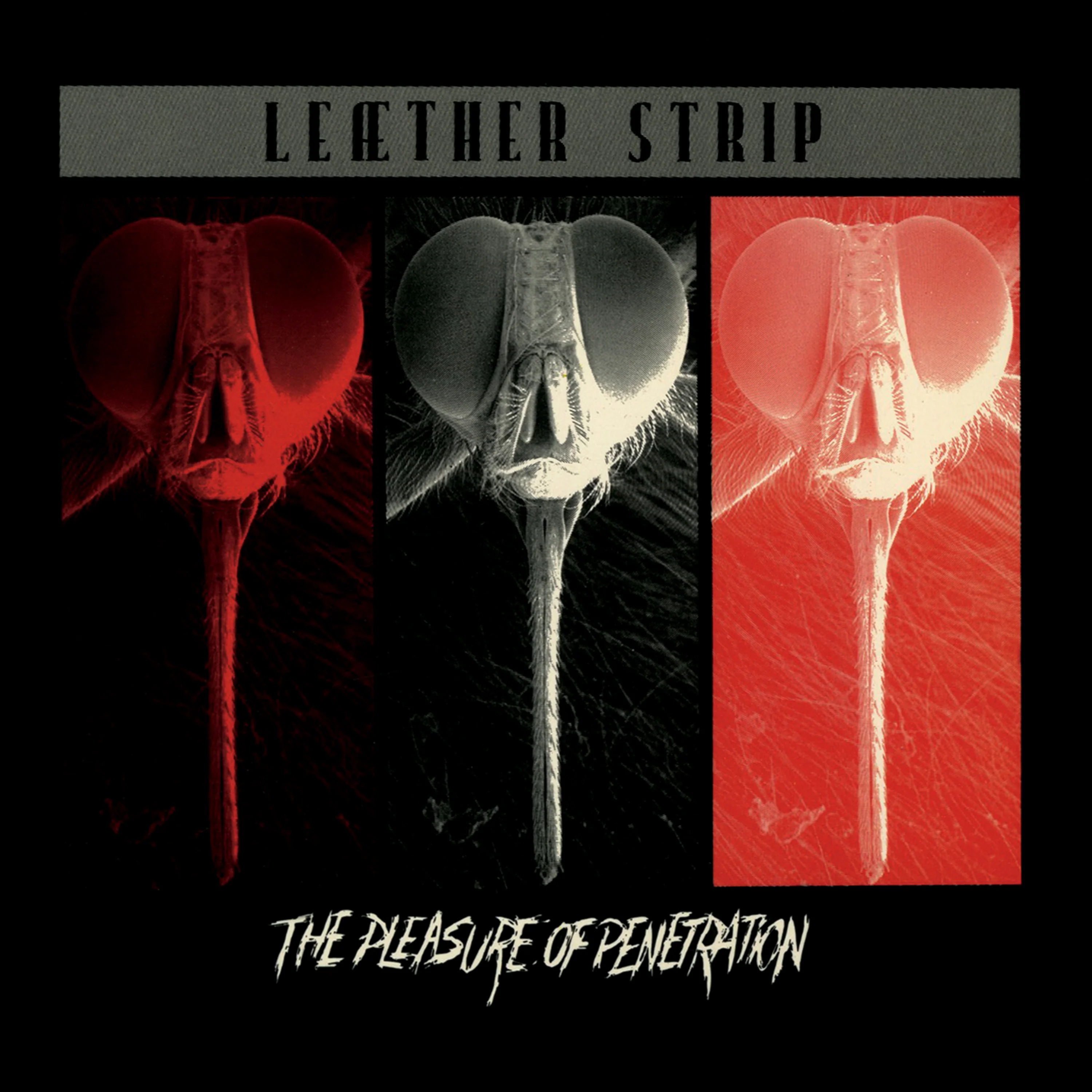 Leæther Strip - The Pleasure Of Penetration (Silver Vinyl) - Image 4