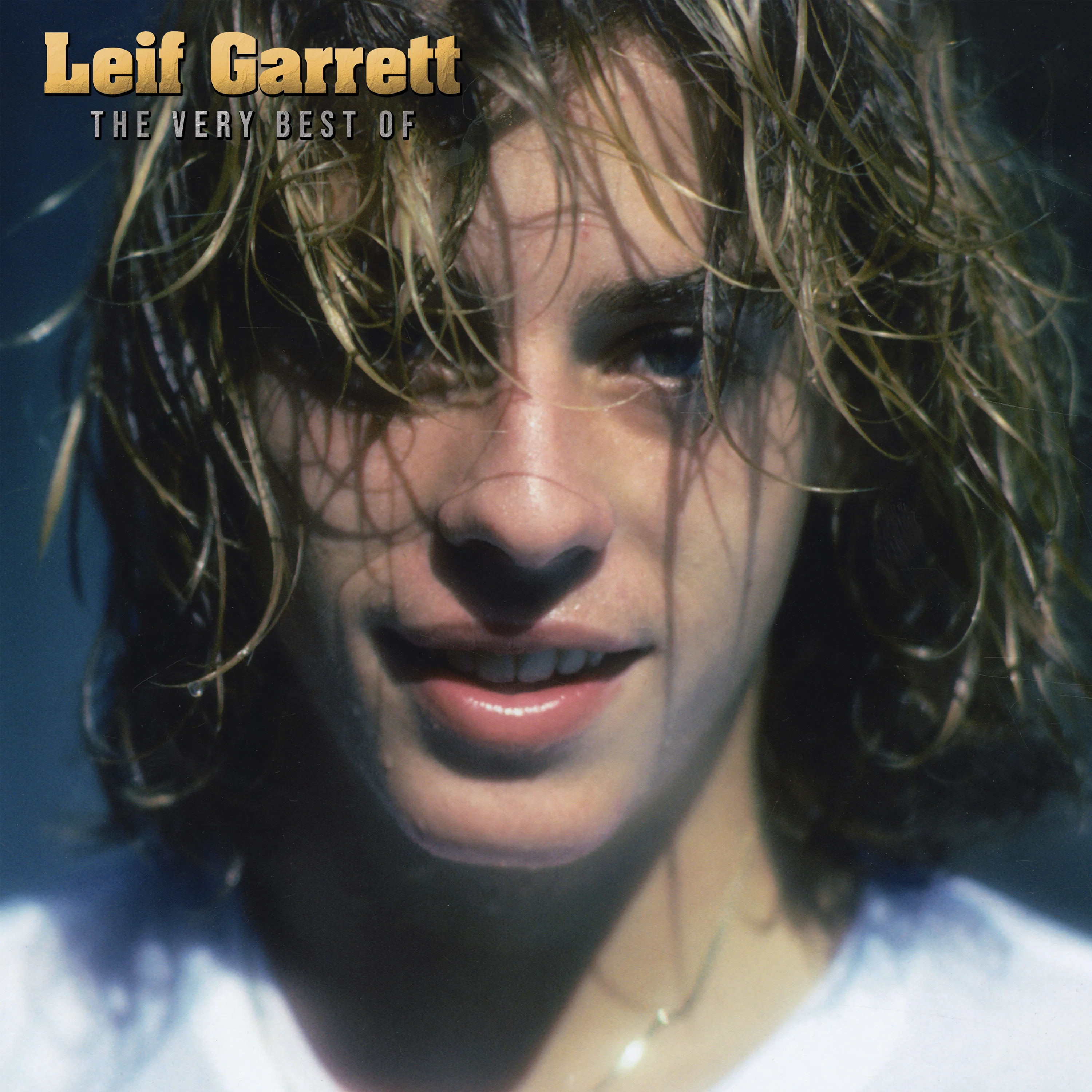 Leif Garrett - The Very Best Of (Blue Vinyl) - Image 3
