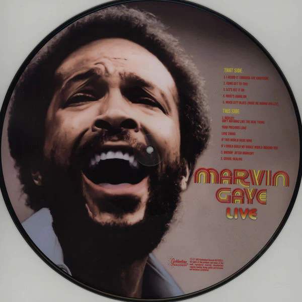 Marvin Gaye - Live (Picture Disc Vinyl) - Image 3