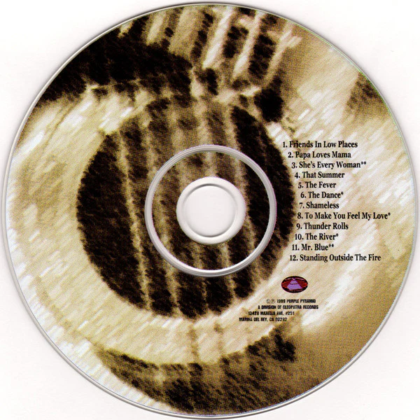 New Friends In Low Places - A Tribute To Garth Brooks (CD) - Image 3