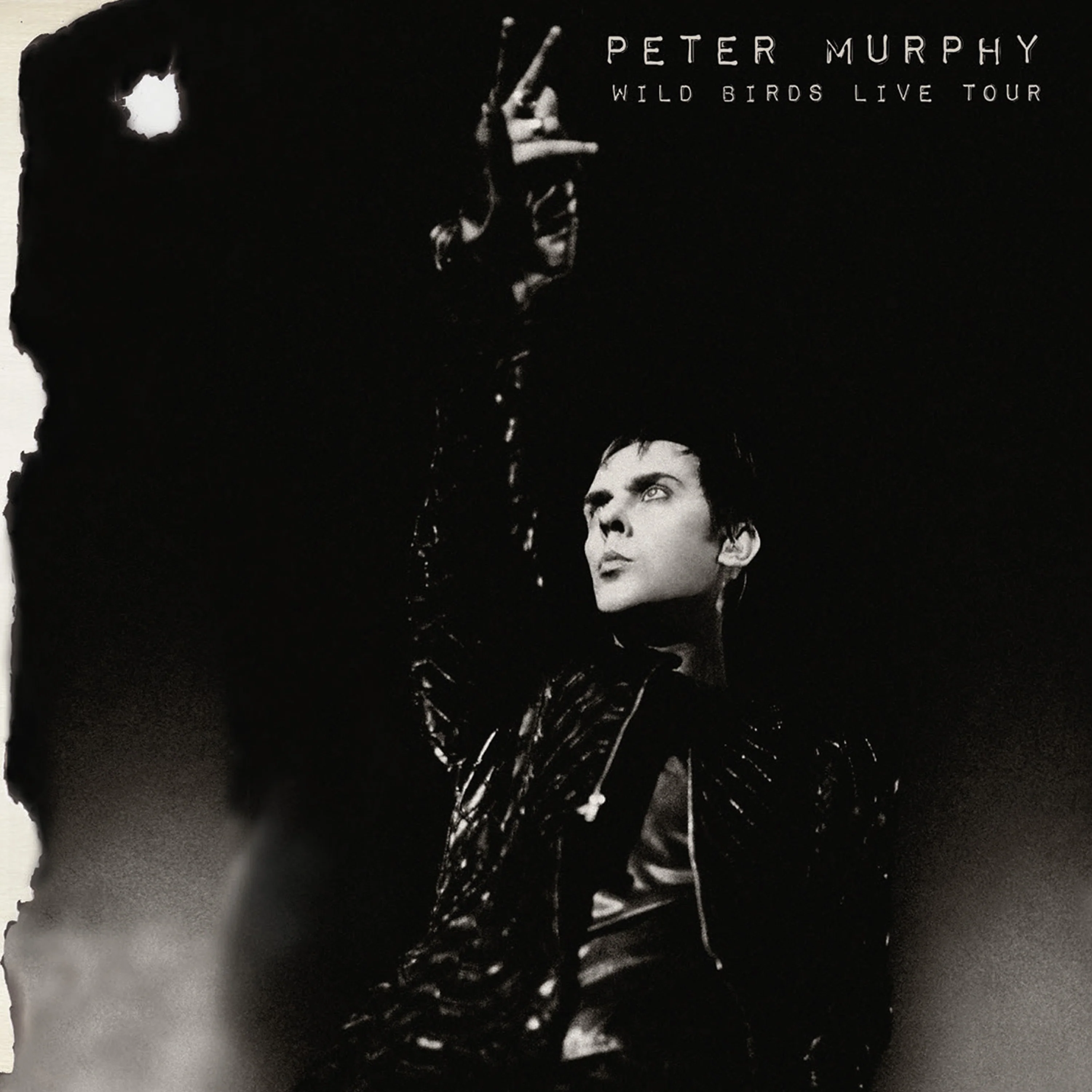Peter Murphy - Wild Birds Live Tour (2 CD) - Image 2