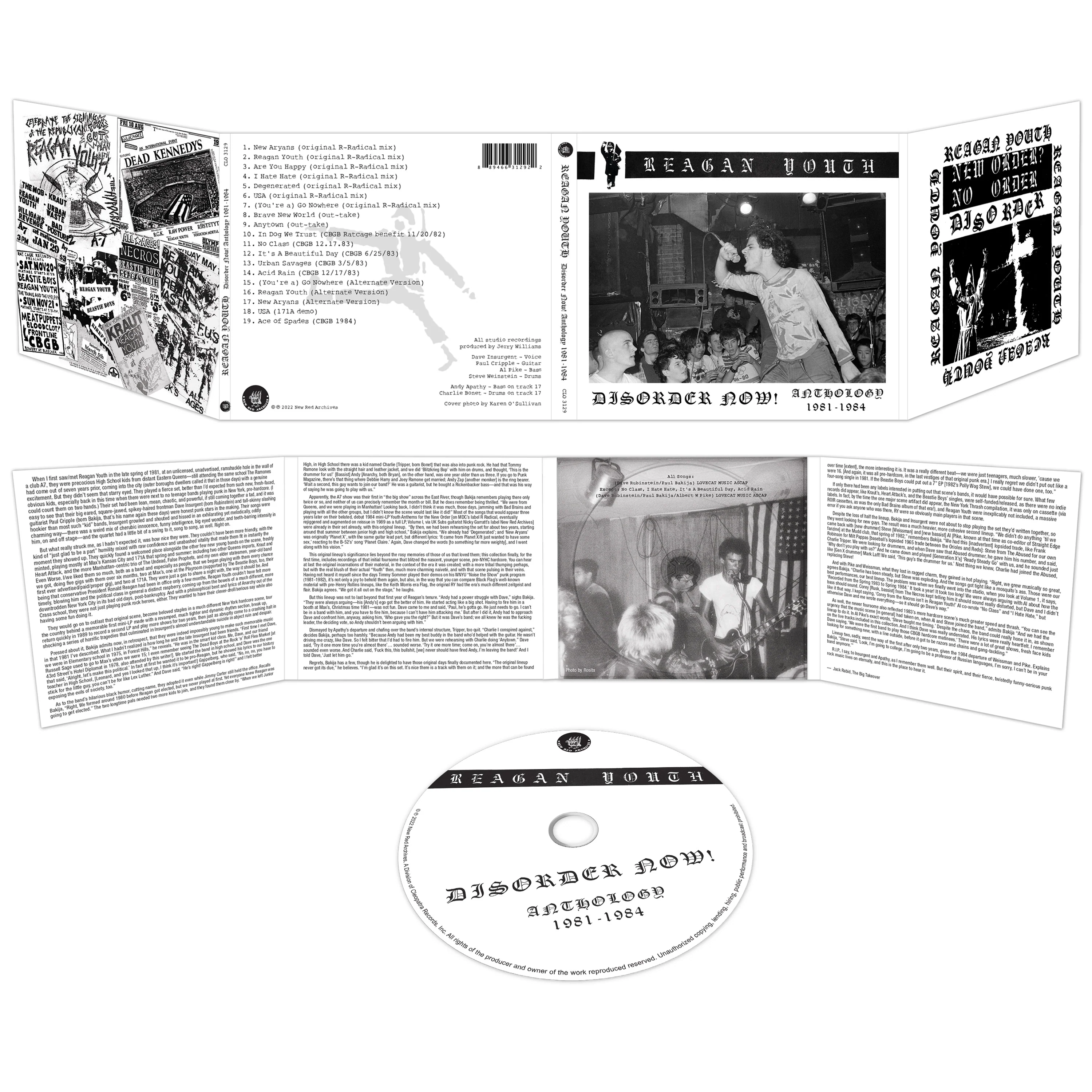Reagan Youth - Disorder Now! Anthology 1981-1984 (CD) - Image 2
