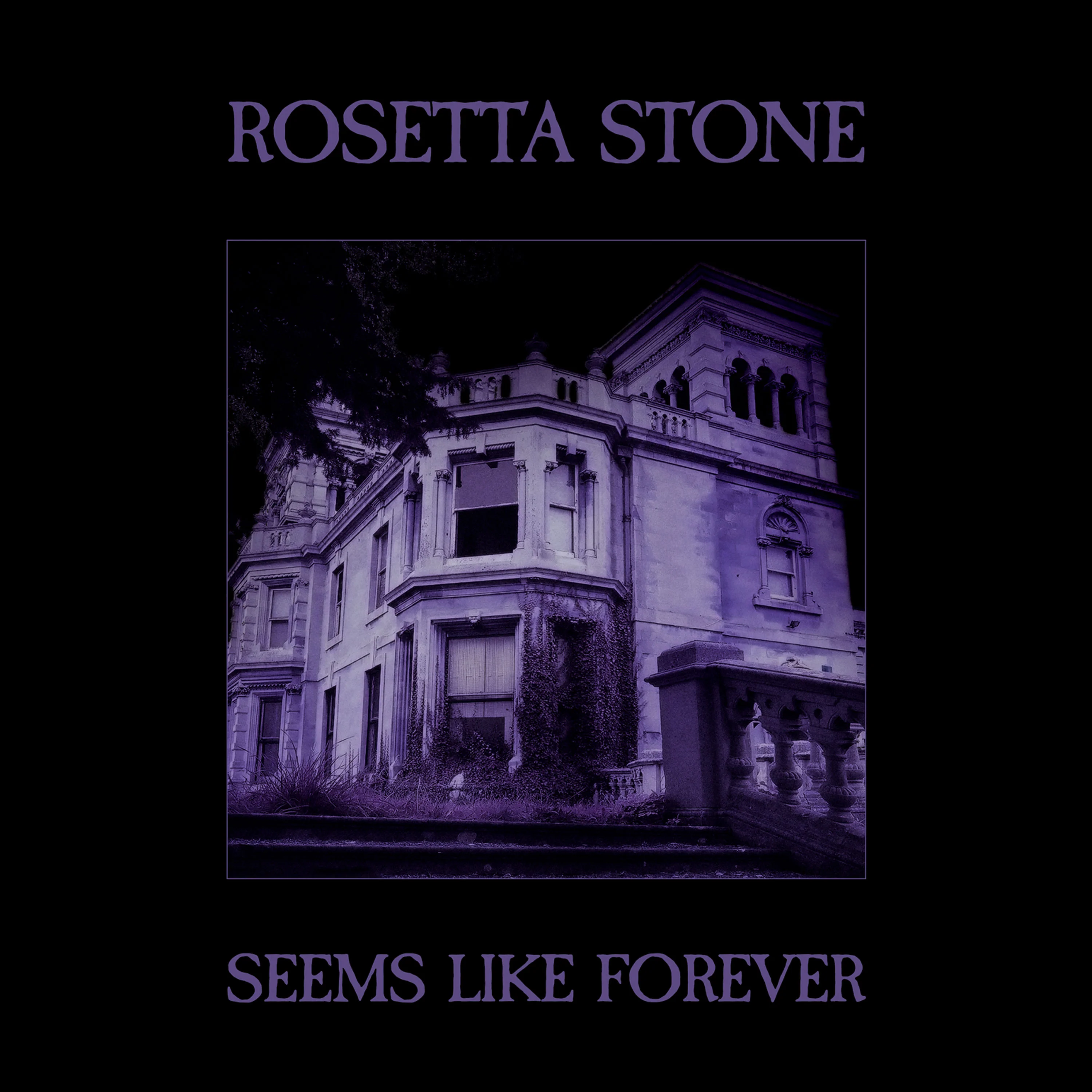 Rosetta Stone - Seems Like Forever (Purple Vinyl) - Image 2
