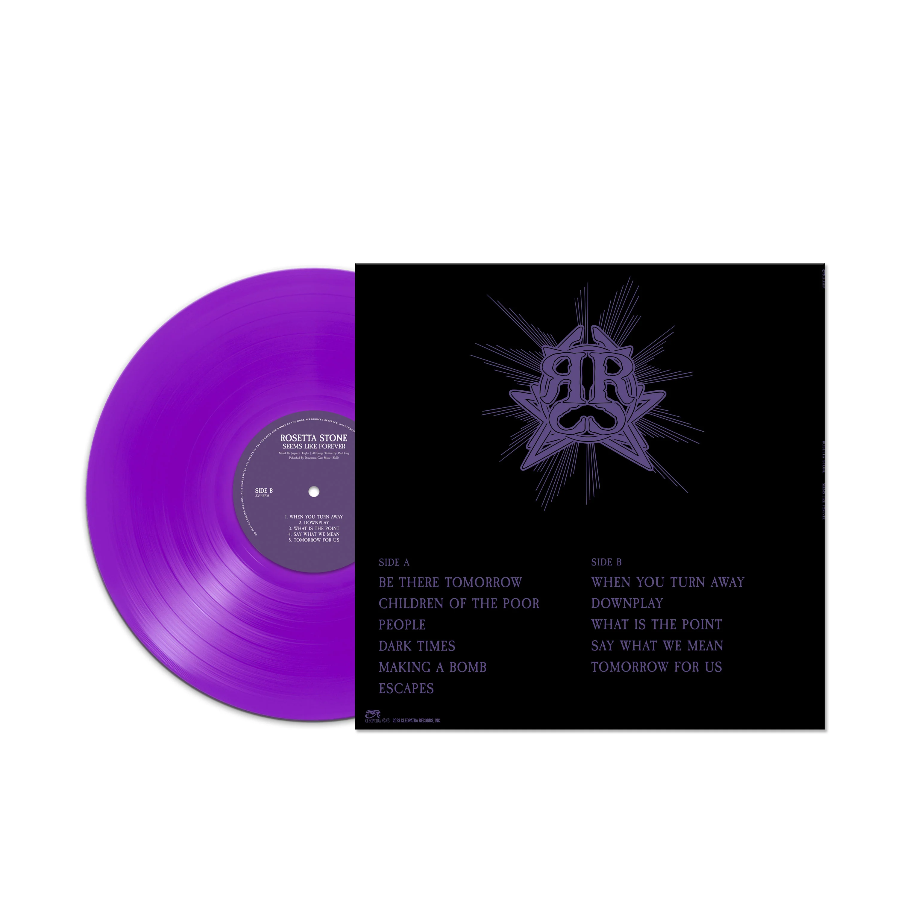 Rosetta Stone - Seems Like Forever (Purple Vinyl) - Image 3