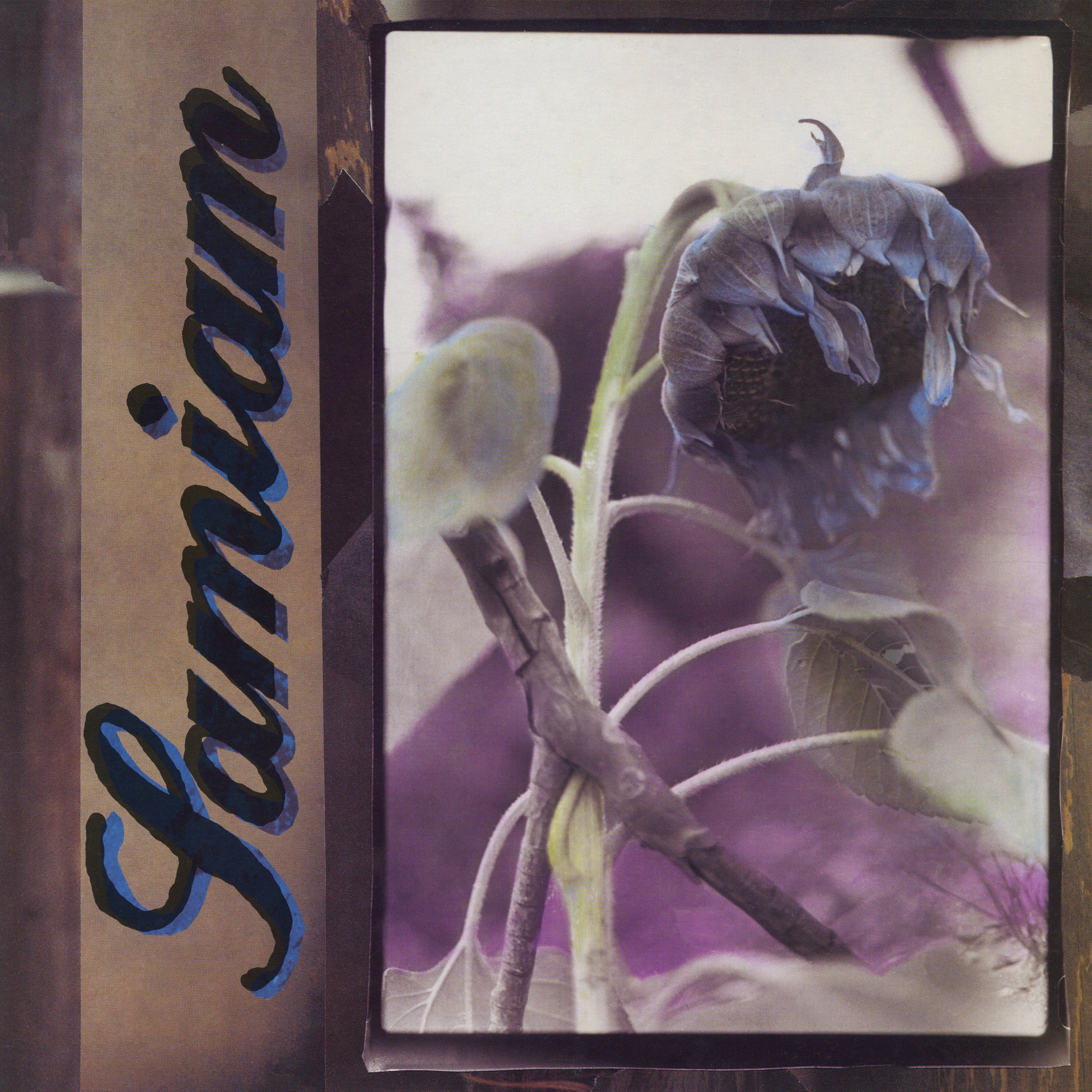 Samiam - Samiam (Black-Purple Splatter Vinyl) - Image 4