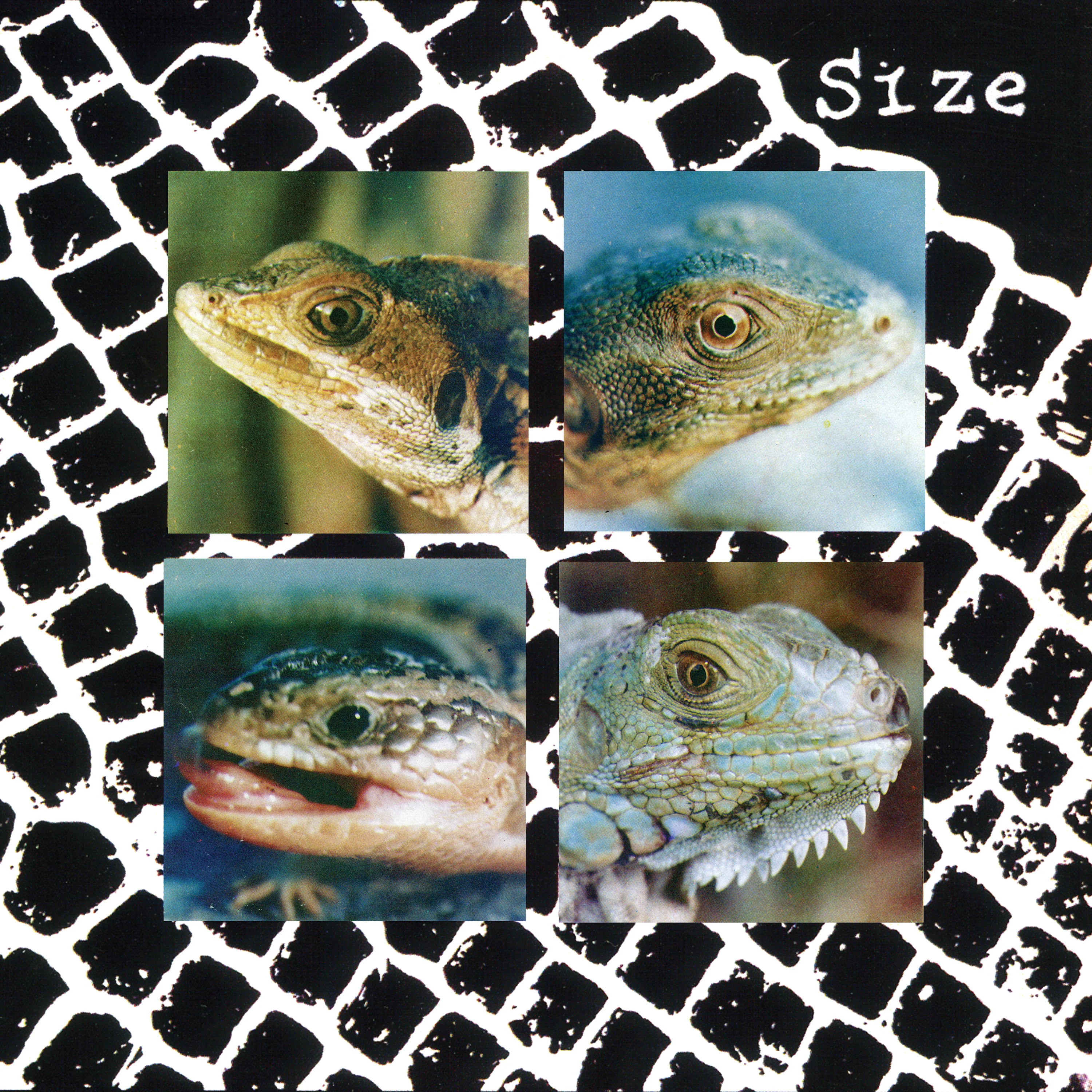 Size - Nadie Puede Vivir Con Un Monstruo (Blue Vinyl) - Image 4