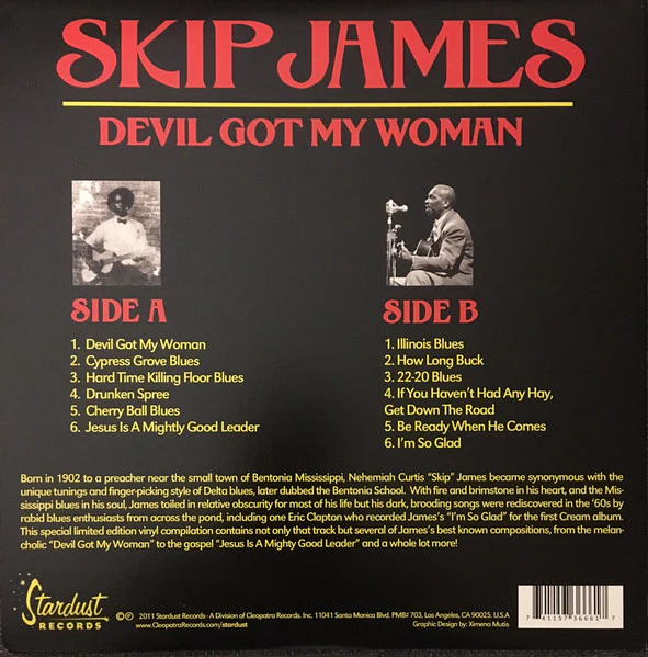 Skip James - Devil Got My Woman (LP - 2011 Re-release) - Image 2