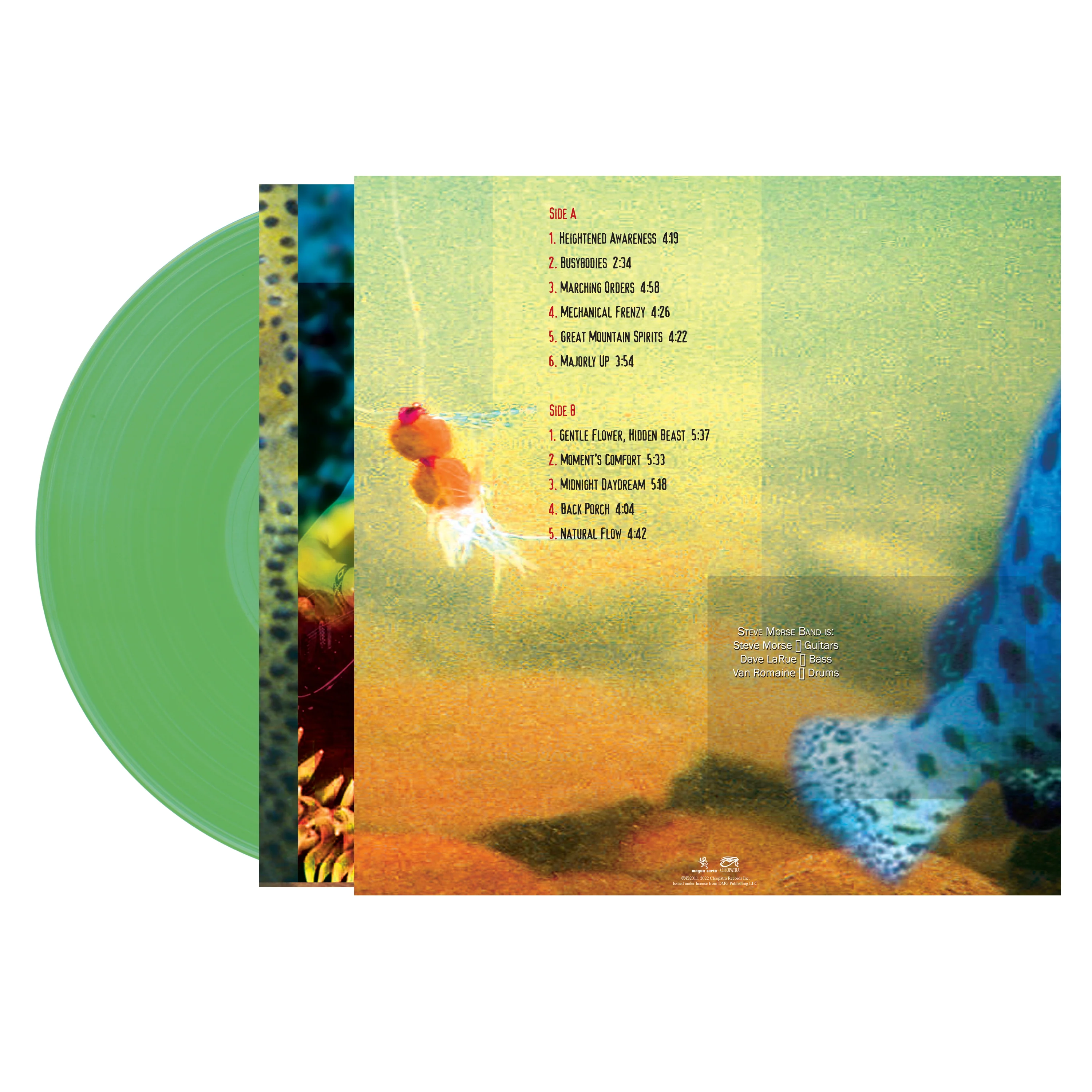 Steve Morse Band - Split Decision (Green Vinyl) - Image 2