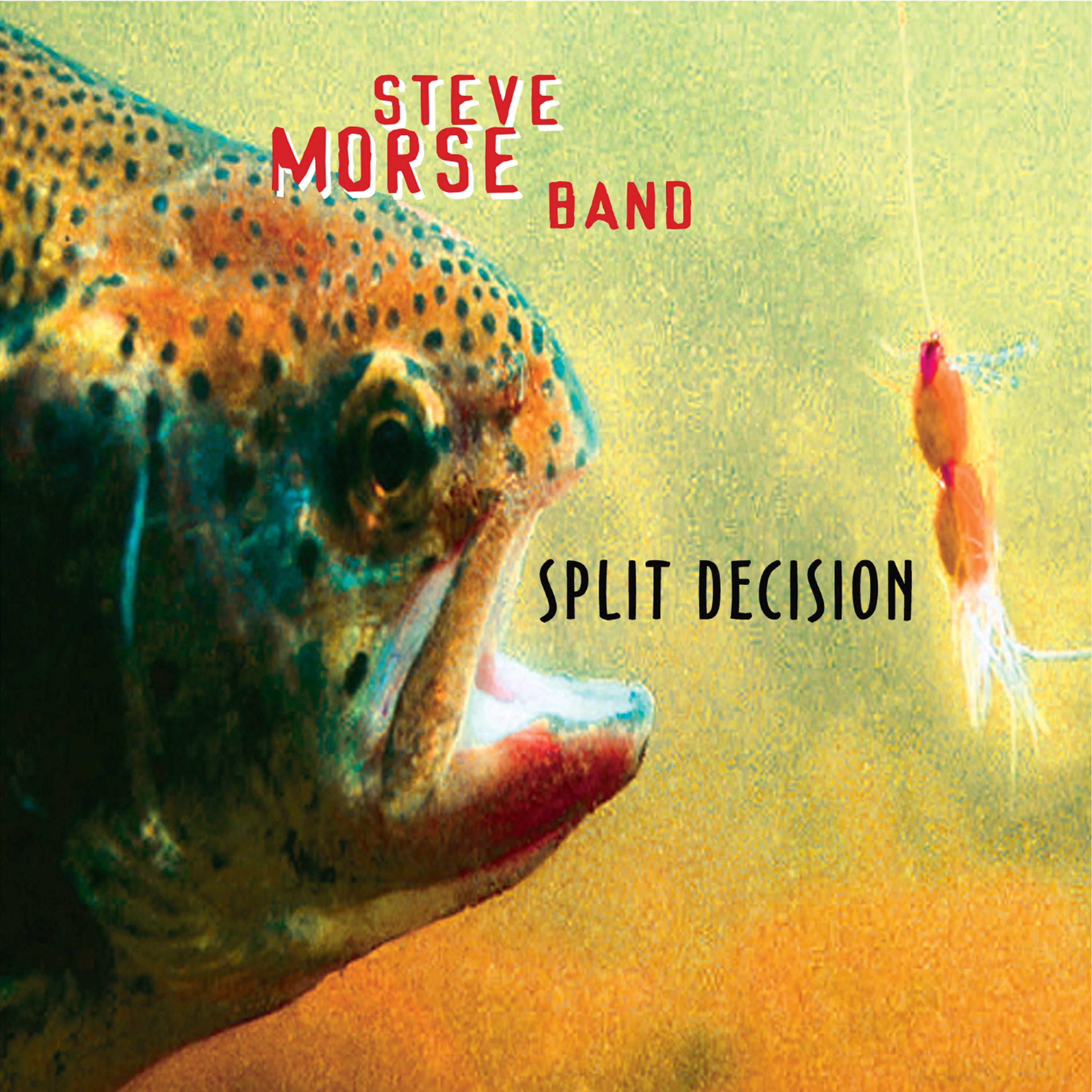 Steve Morse Band - Split Decision (Green Vinyl) - Image 5