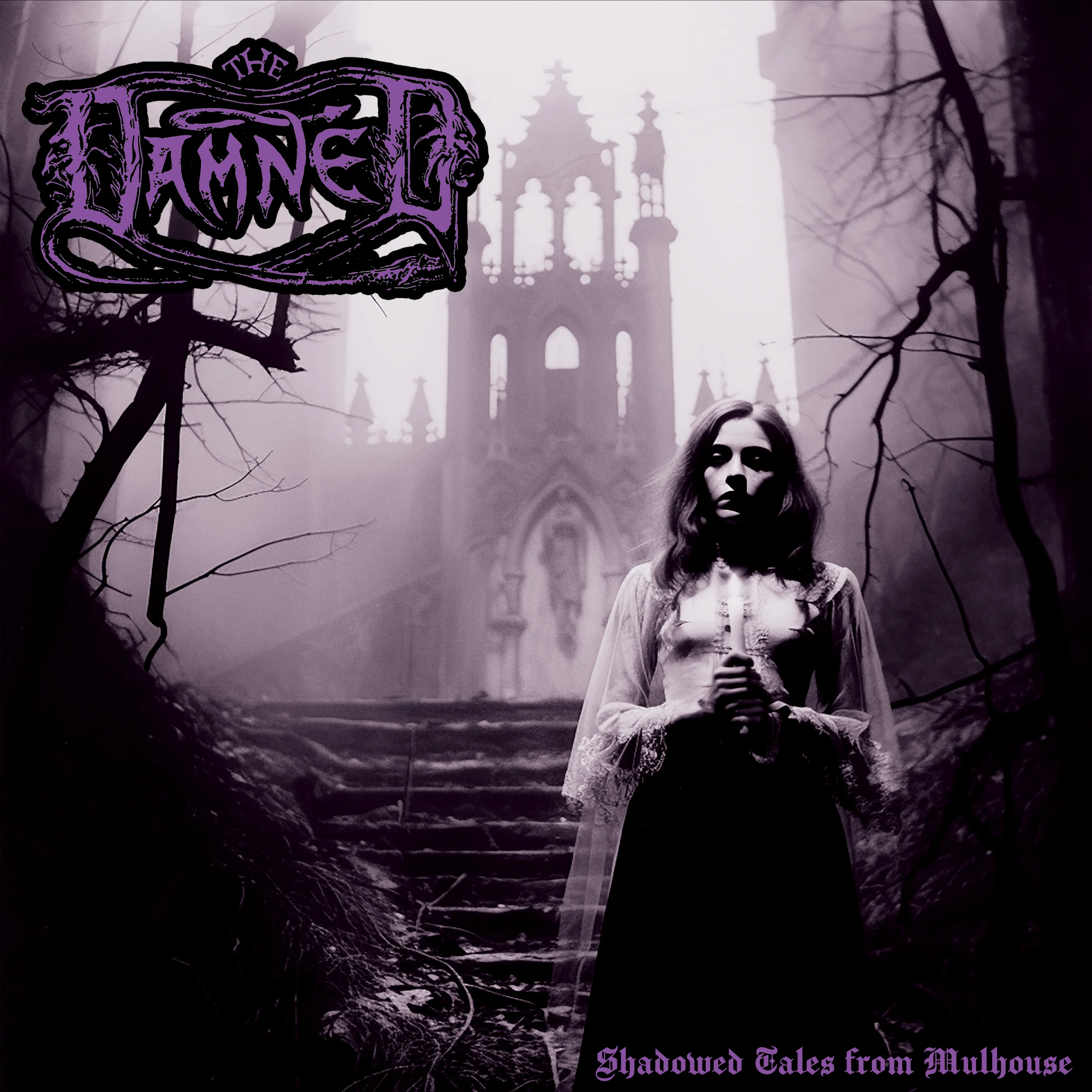 The Damned - Shadowed Tales From Mulhouse (Black Double Vinyl) - Image 4