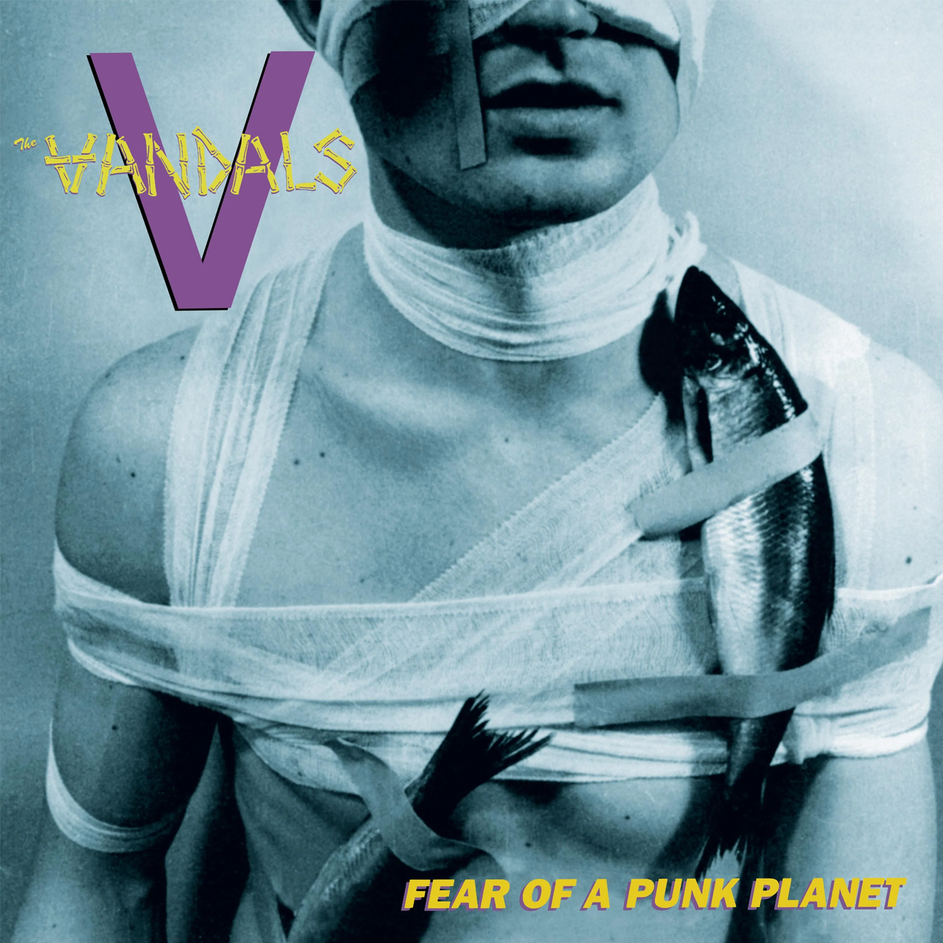 The Vandals - Fear Of A Punk Planet (Blue-Purple Splatter Vinyl) - Image 3