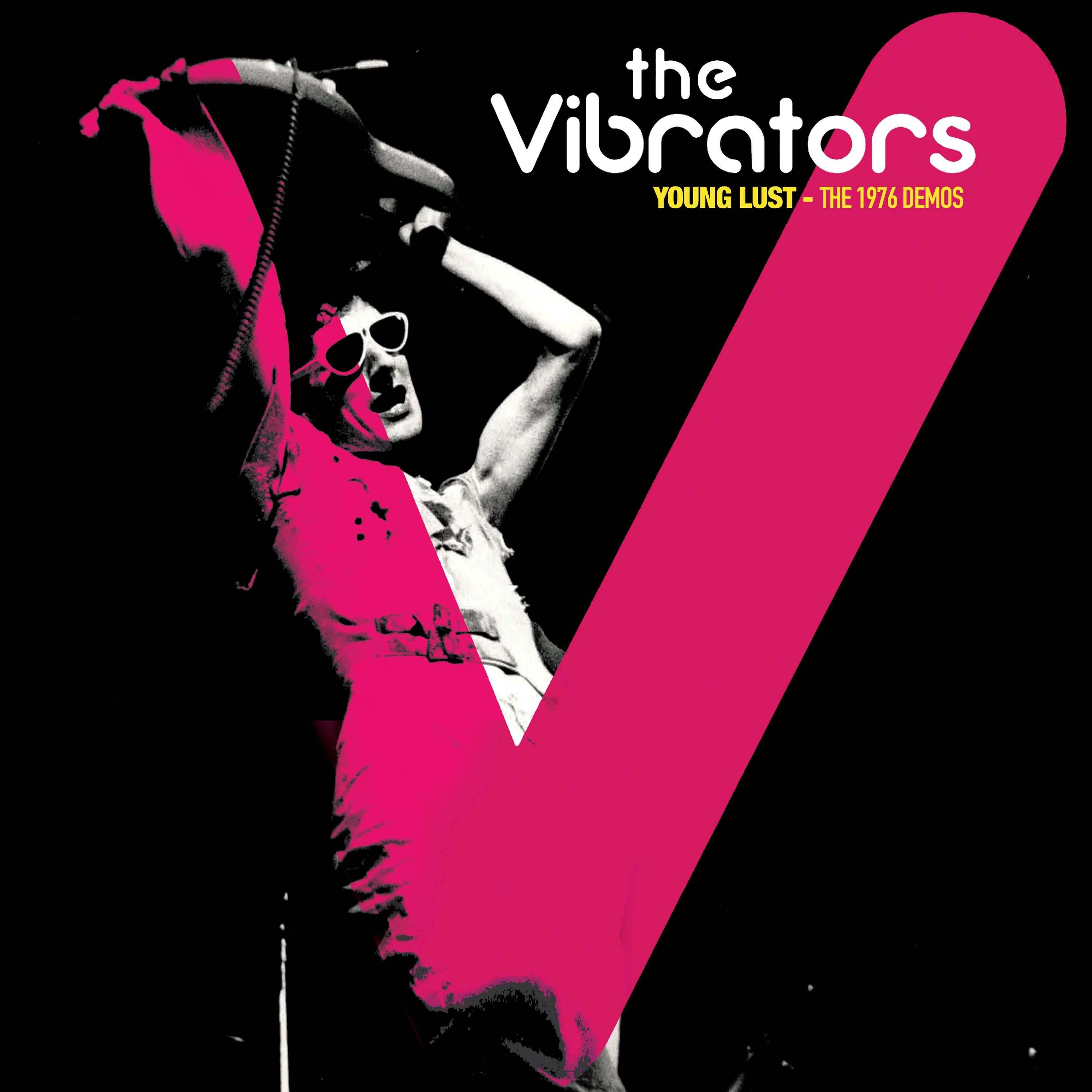 The Vibrators - Young Lust - The 1976 Demos (Pink-Black Splatter Vinyl) - Image 4