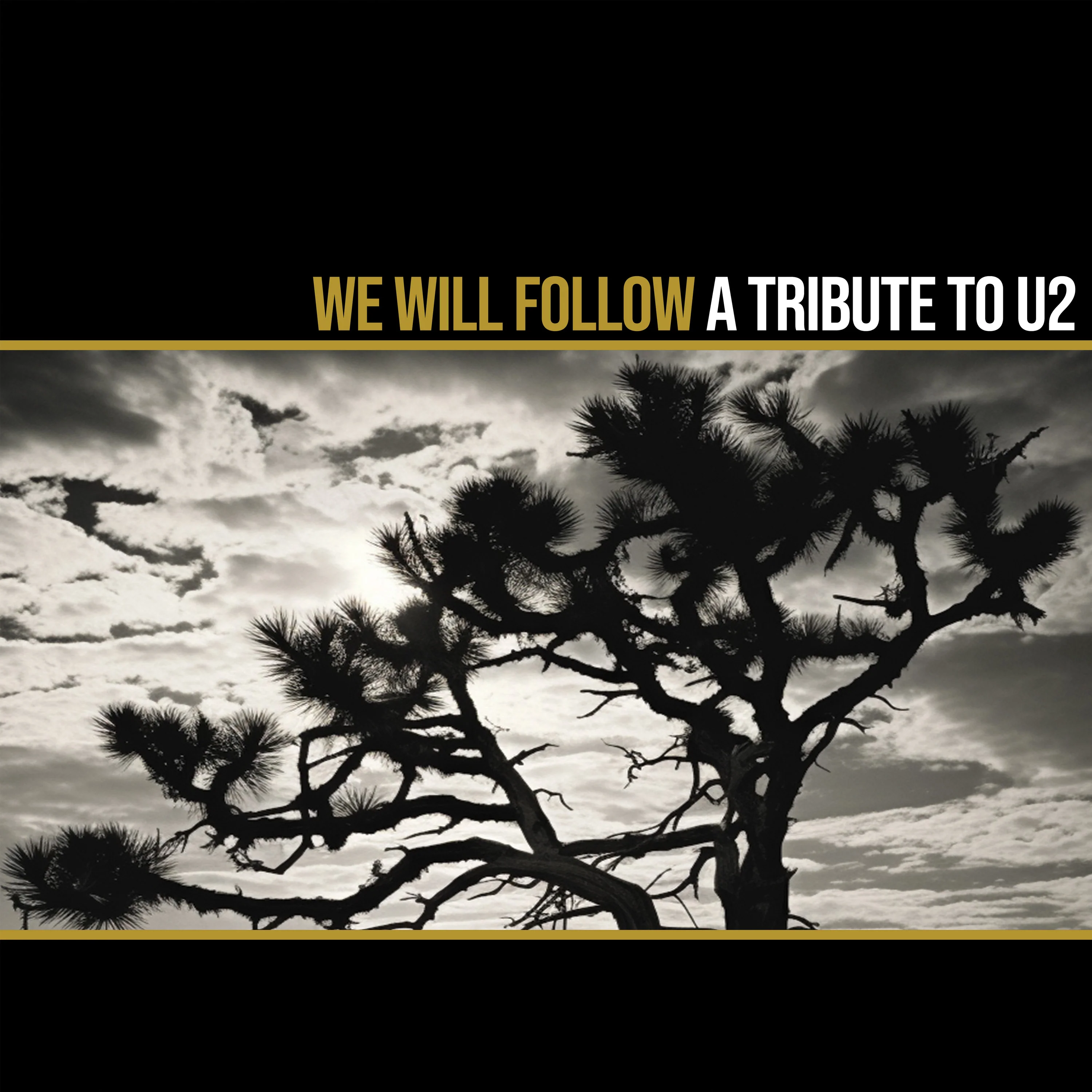 We Will Follow - A Tribute To U2 (Gold Vinyl) - Image 3