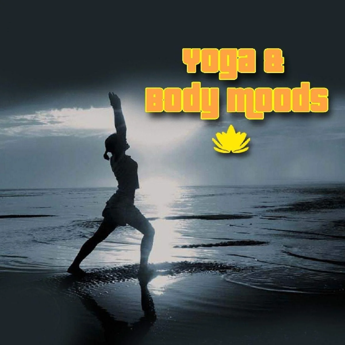 Yoga & Body Moods (5 CD)